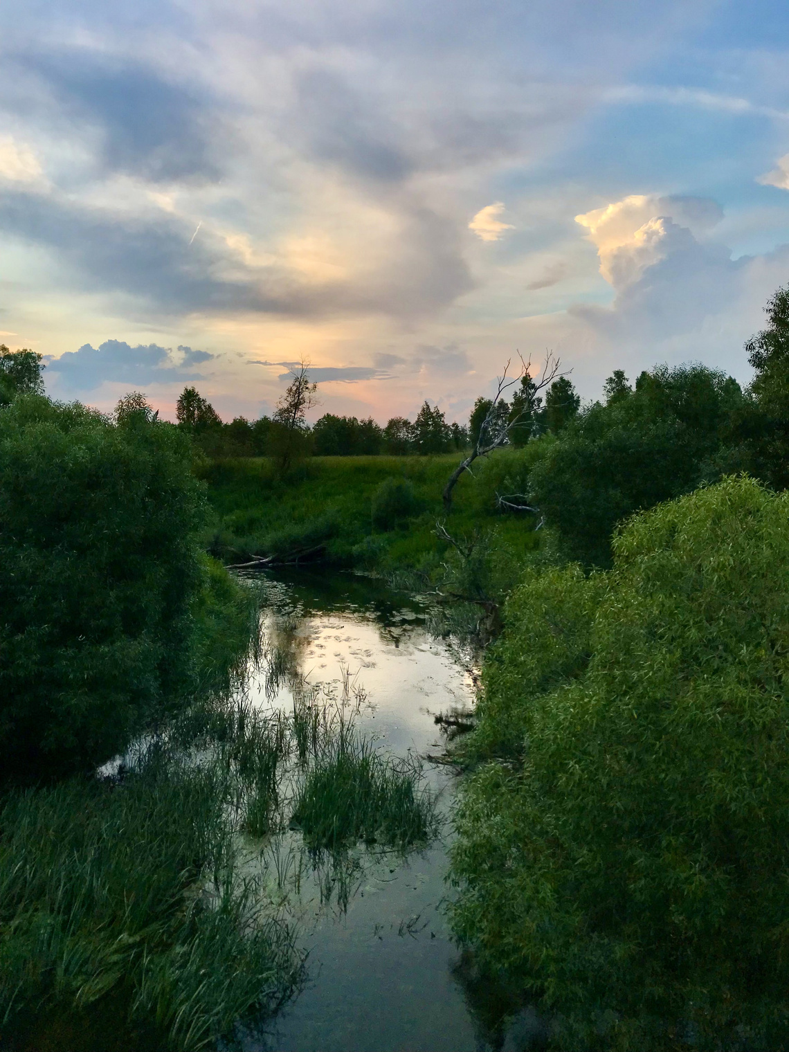 landscape (снято IPhone)