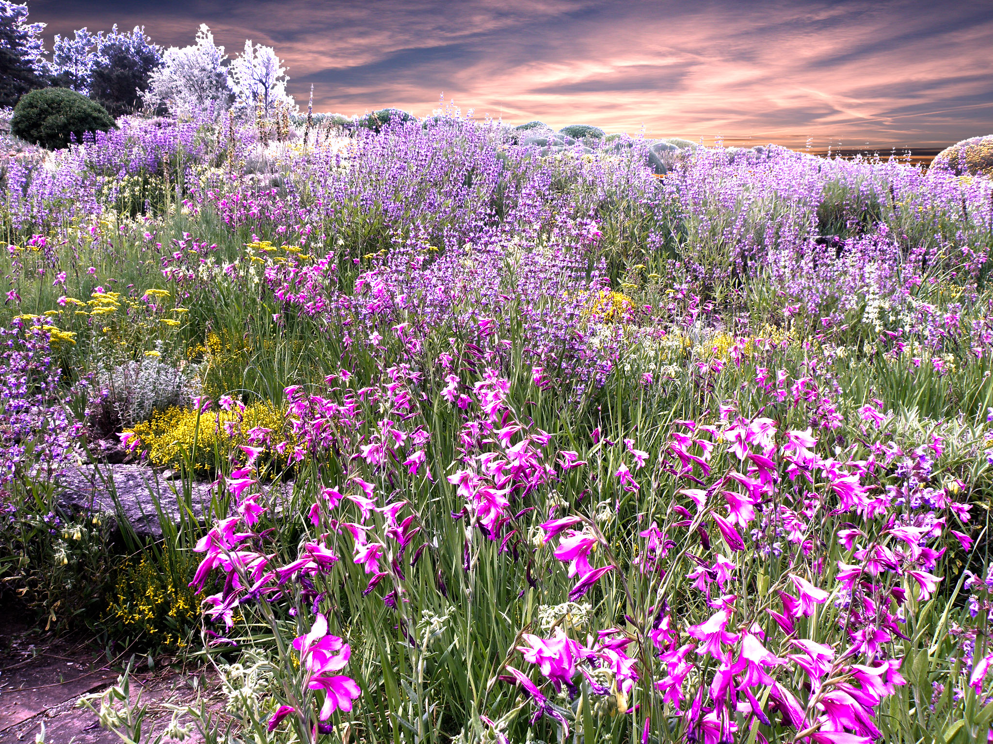 Цветные холмы.