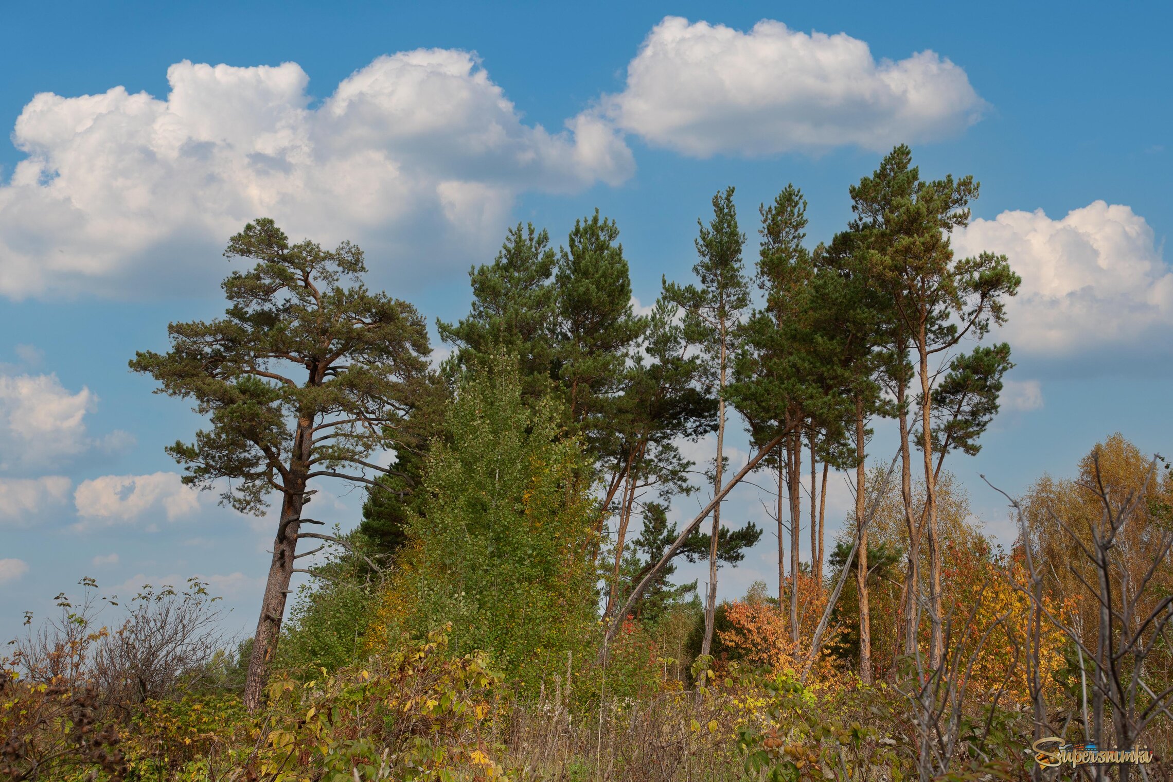Летне-осеннее настроение