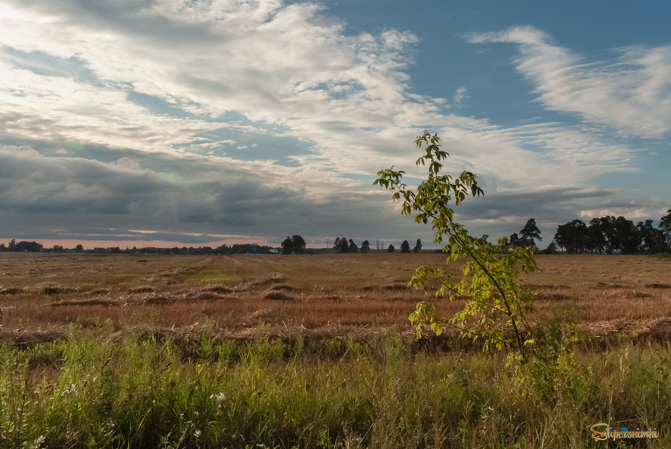 68942c8dadba593b7adcdd5b