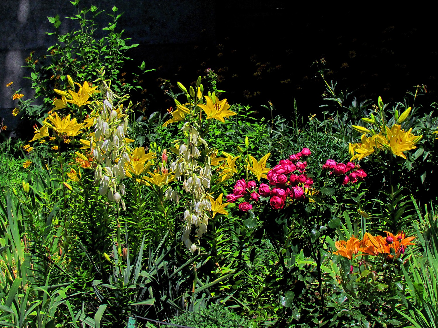 Серия "А у нас в садочке..."