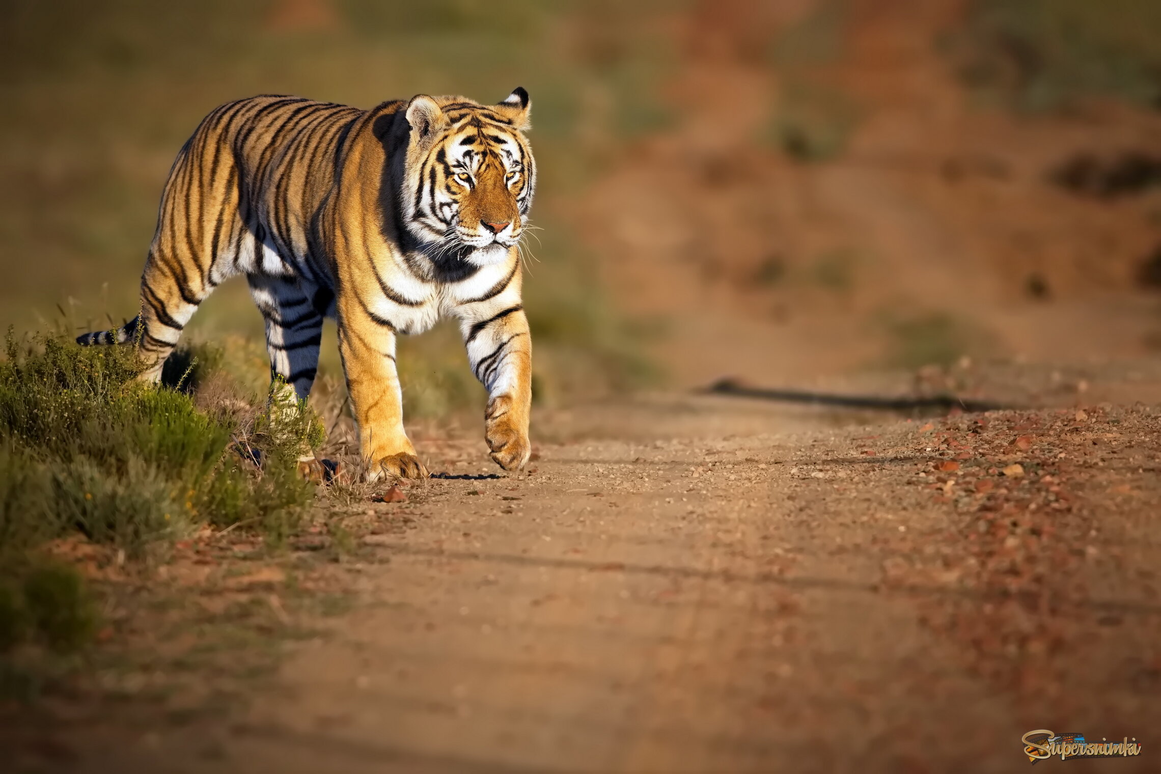 Выход на главную дорогу