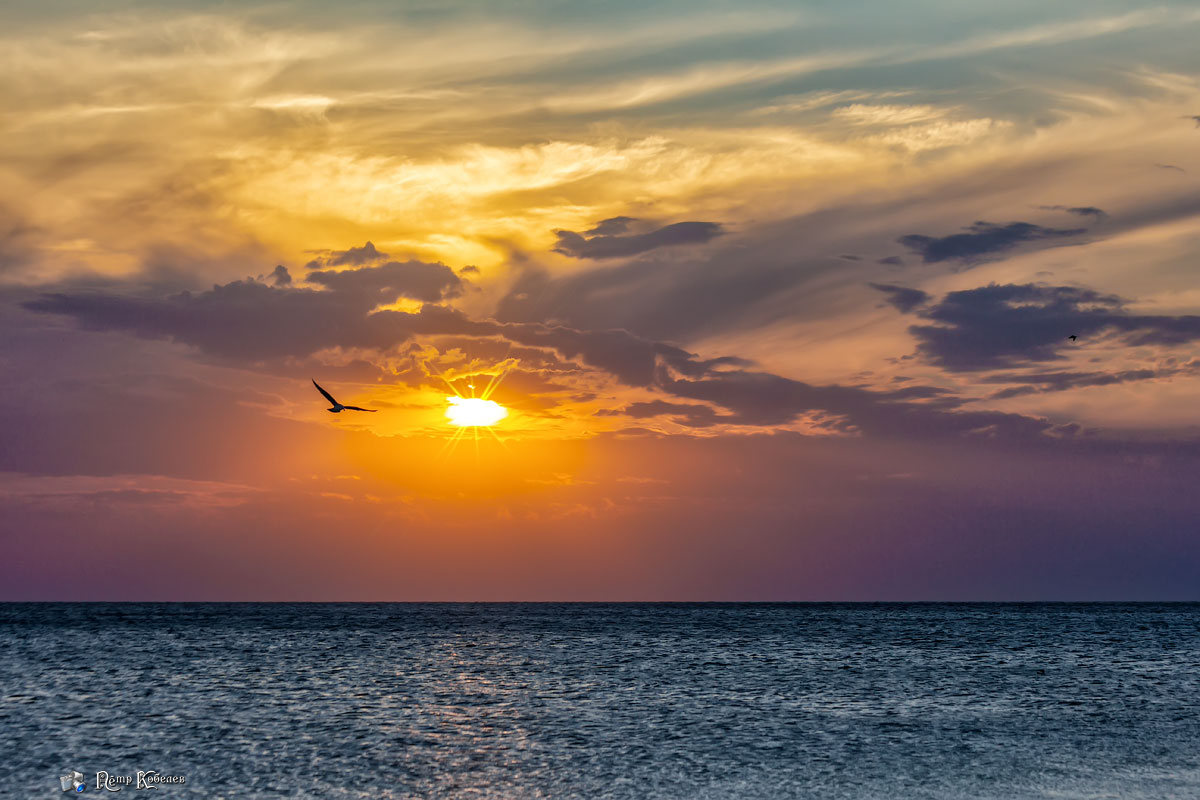 Одиночество