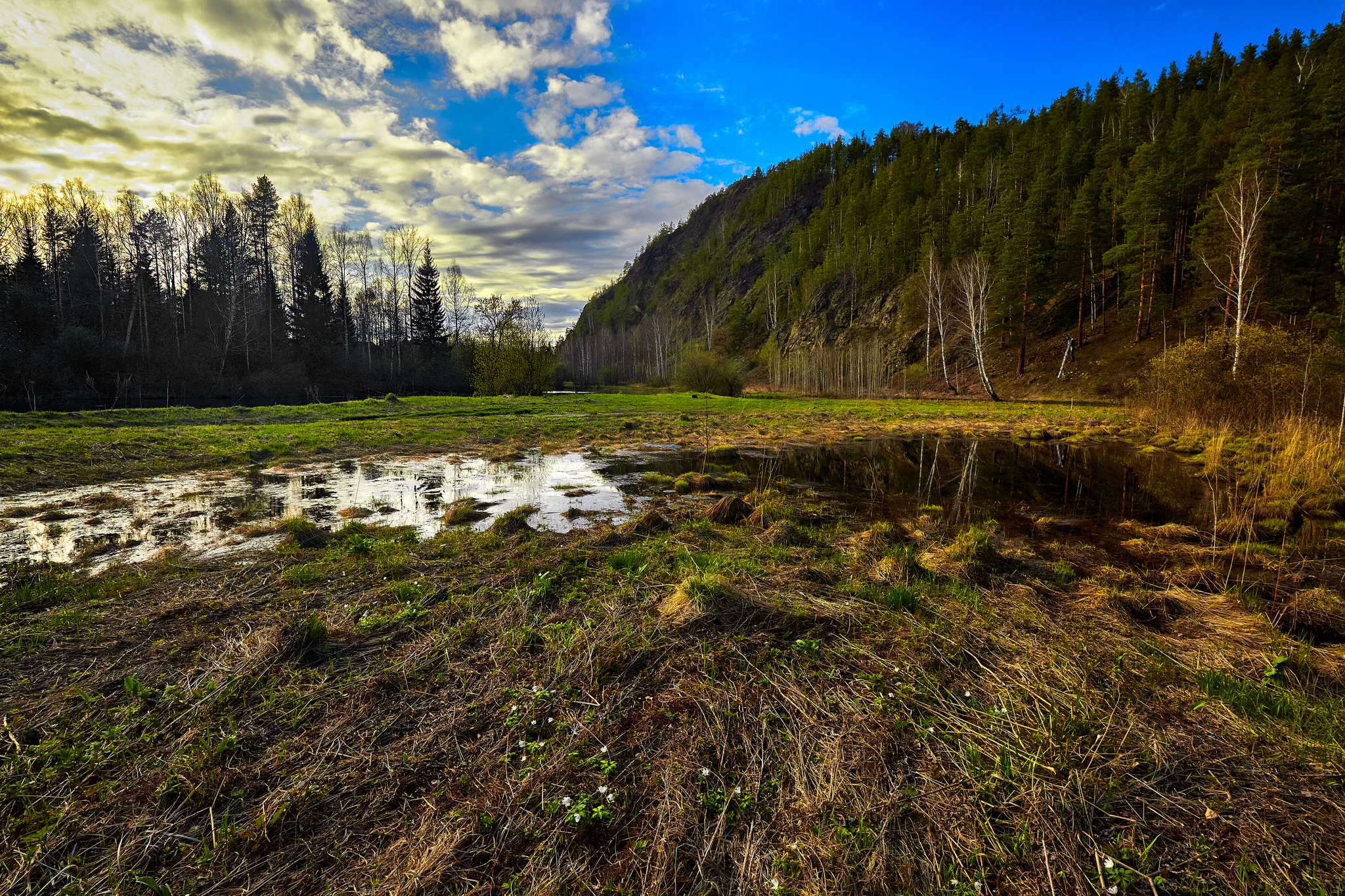 На просторах весны.