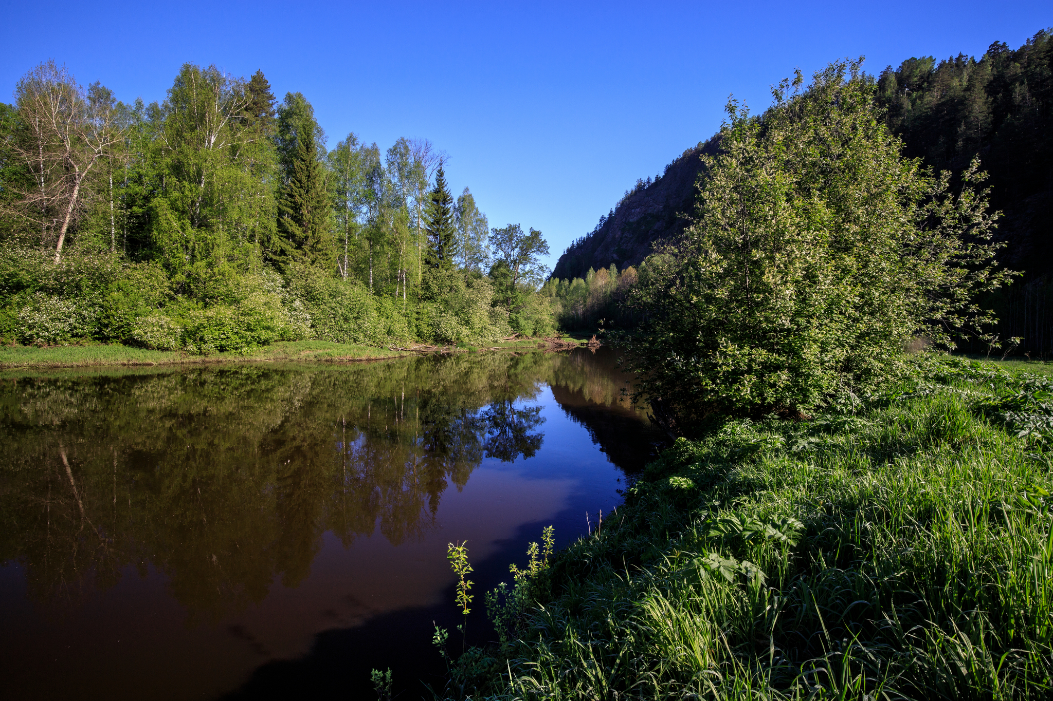 Тихое утро мая.