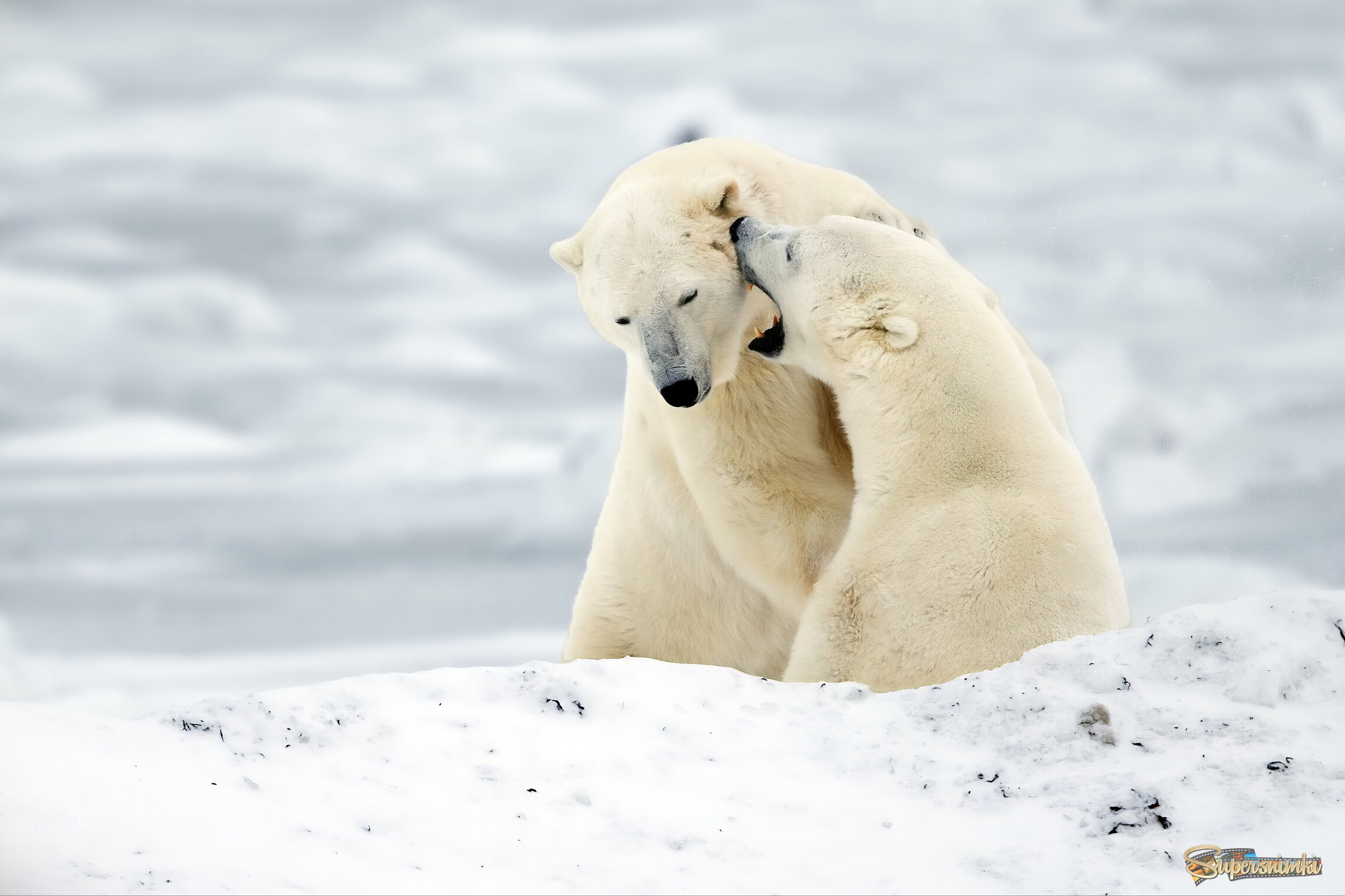 По большому секрету