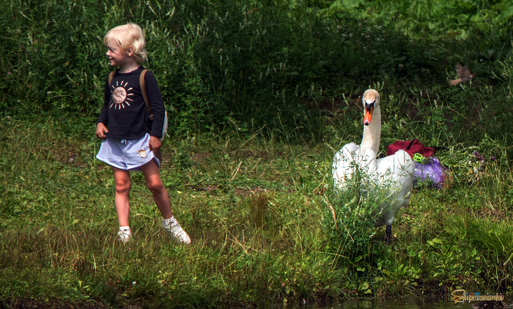 "Эй, посмотрите кто пришел!"