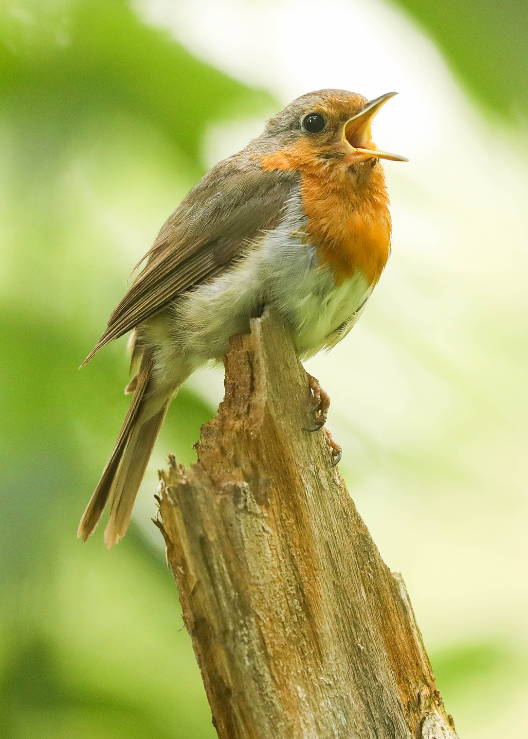 Ох и трудное это искусство! 
