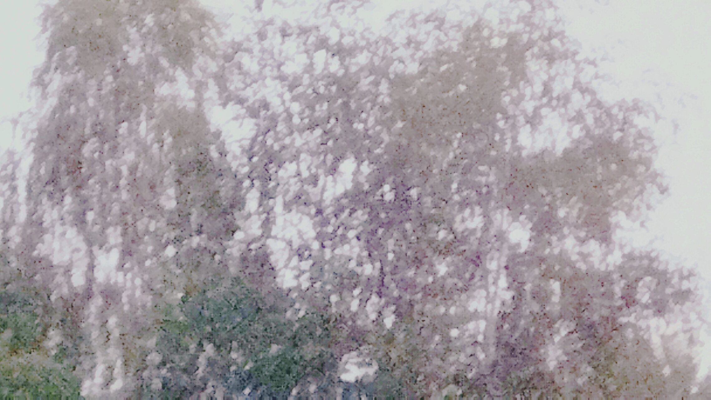 акварелька по-сырому