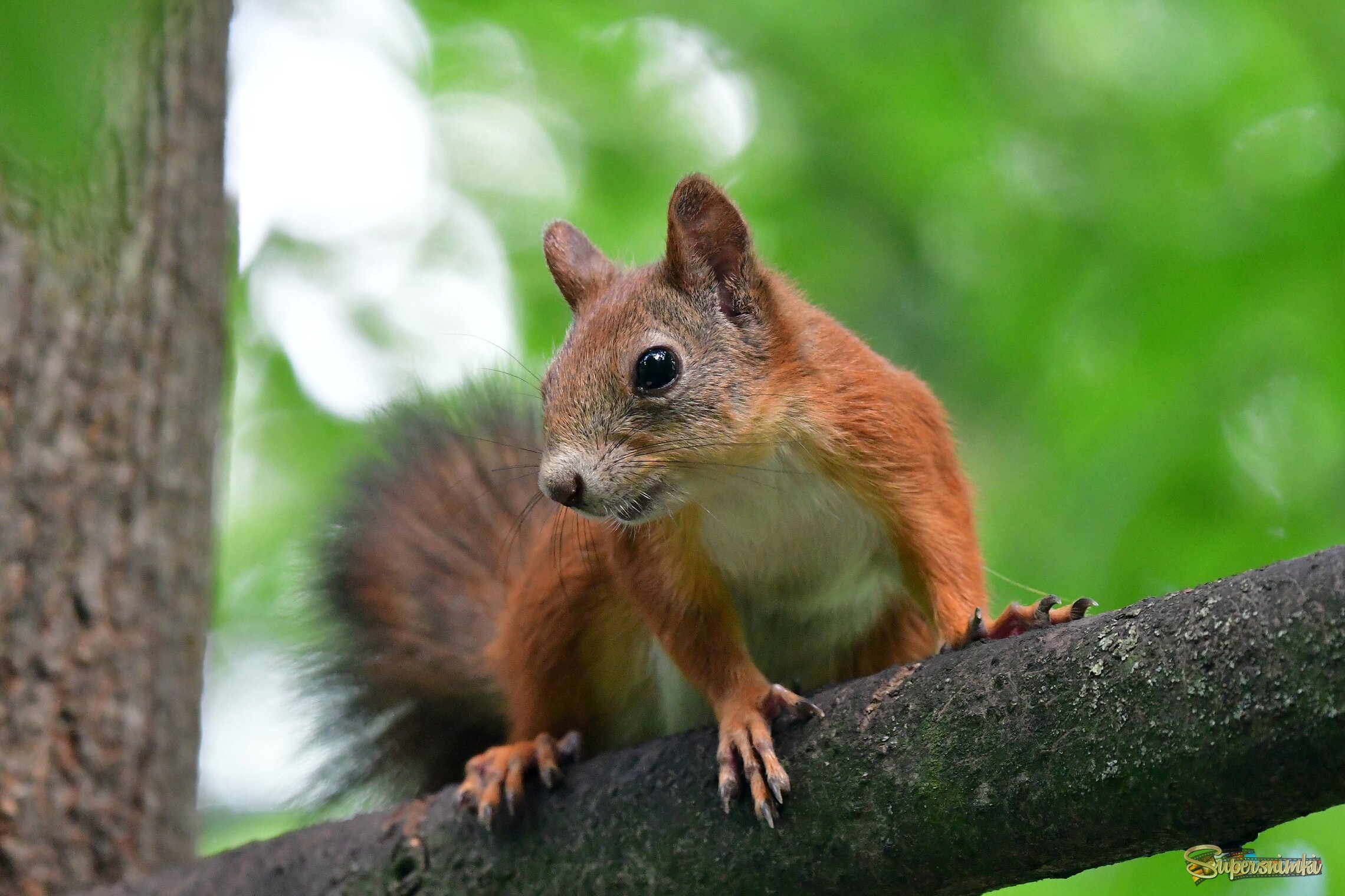 689a26b225dd000a45dcdd5d