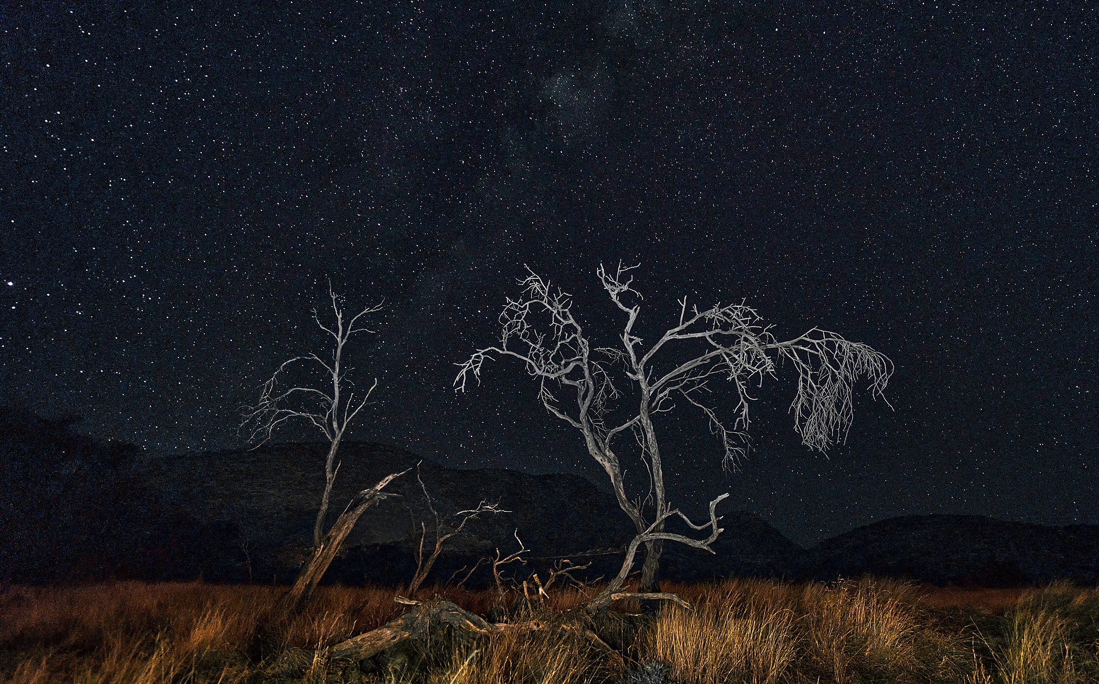 Намибийские истории... 