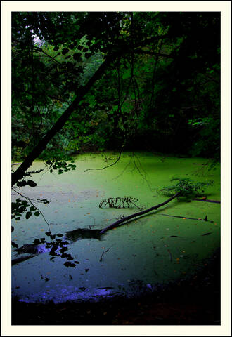 Landscape. Wild Lake.
