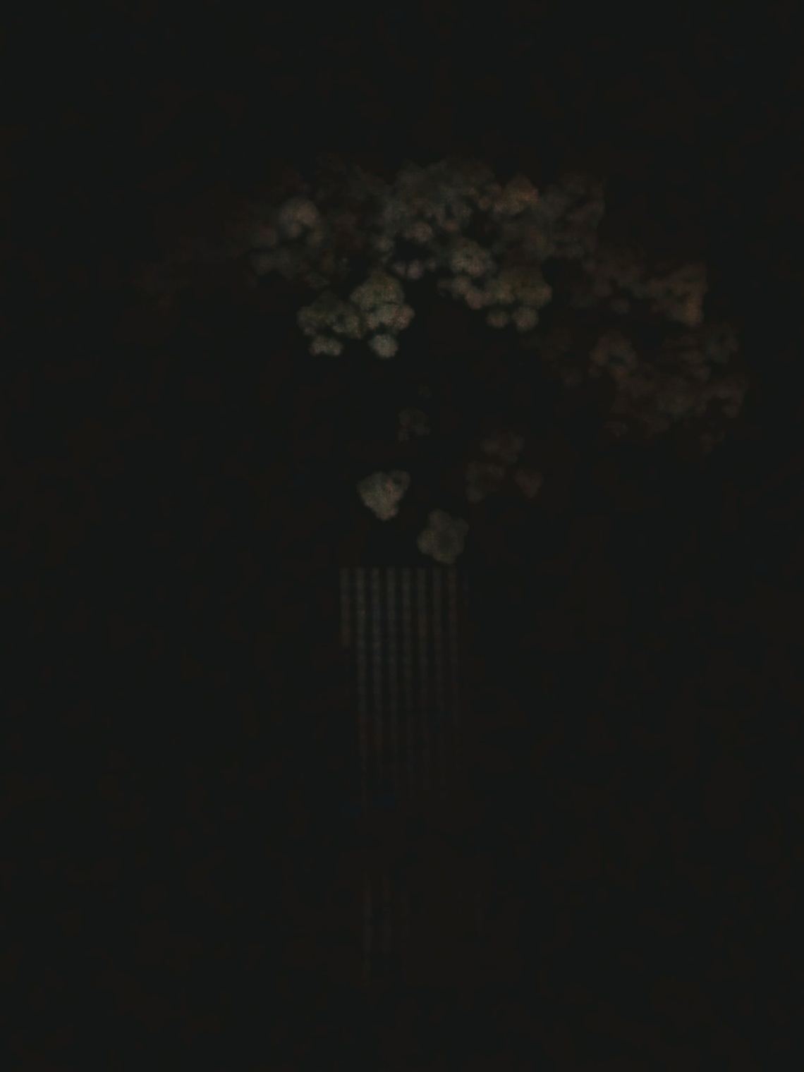 гортензиозная кустистость