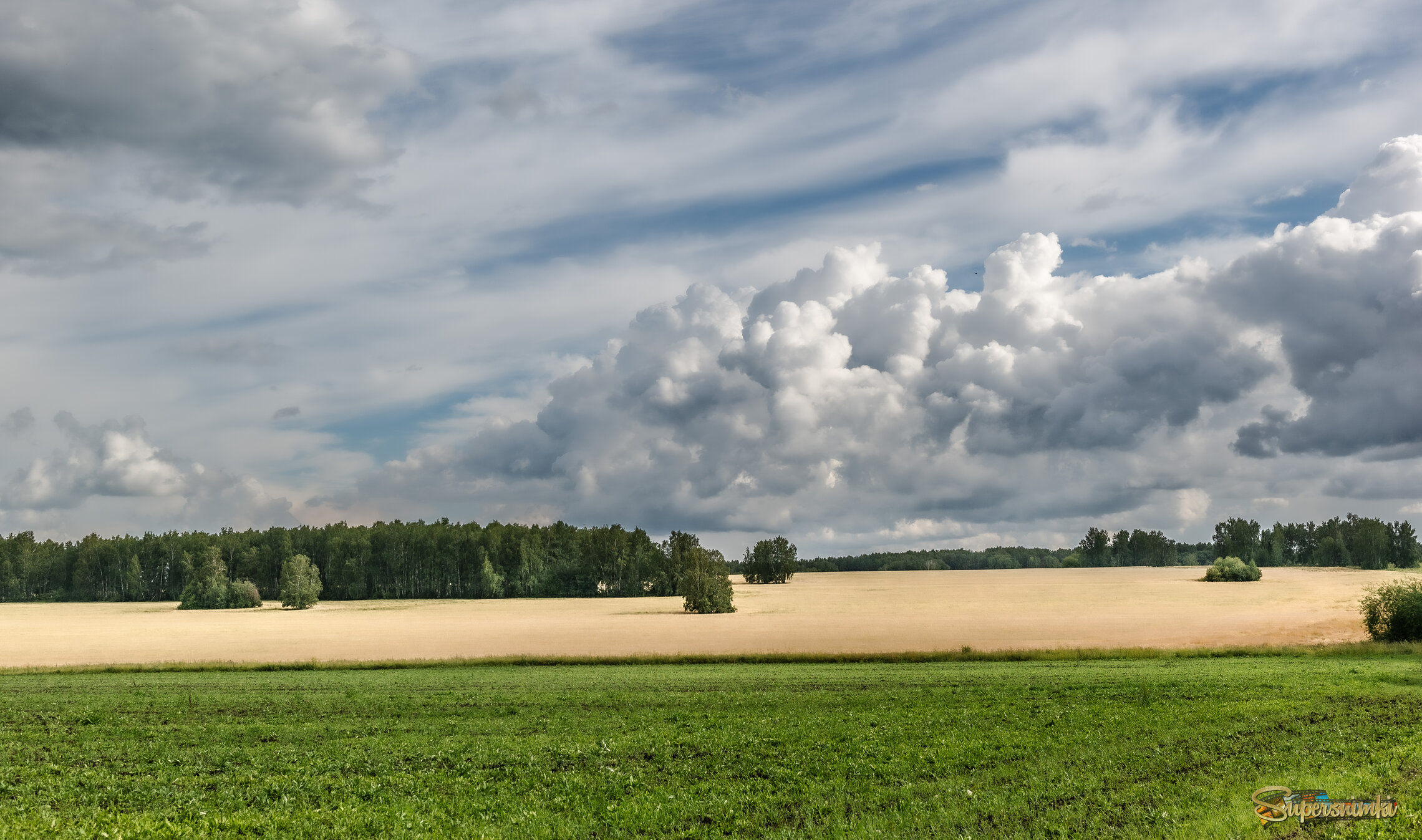 Зрелое лето.