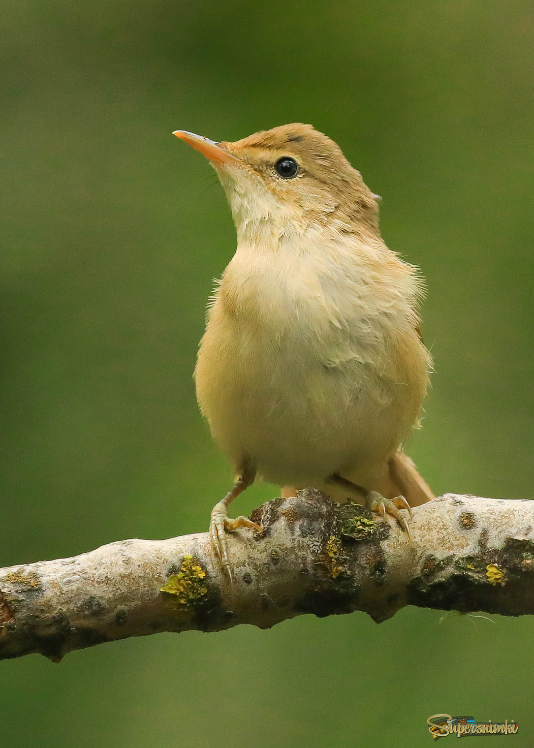 Отдохну немного