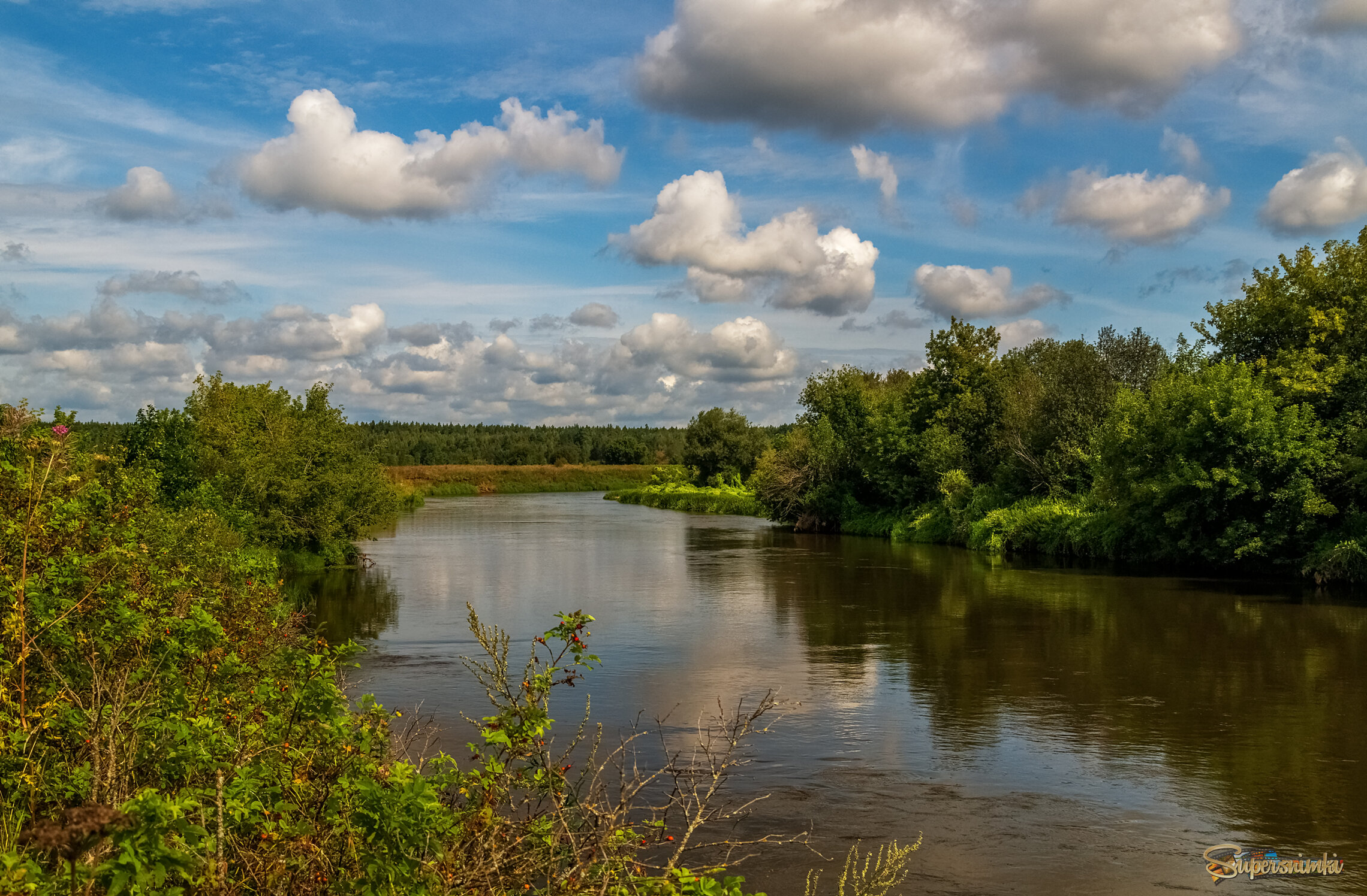 В Августе на Клязьме 6 