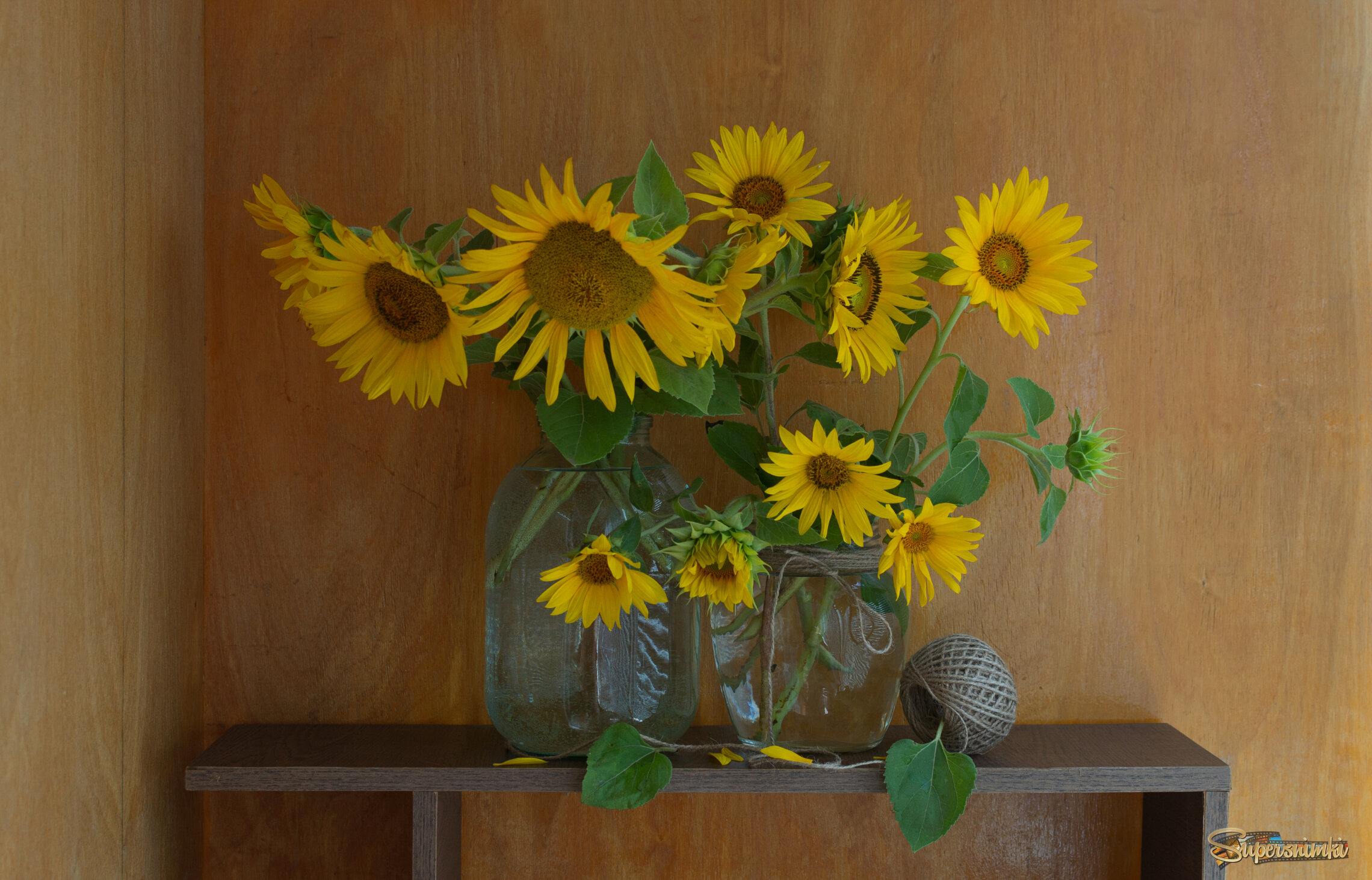 Подсолнухи.