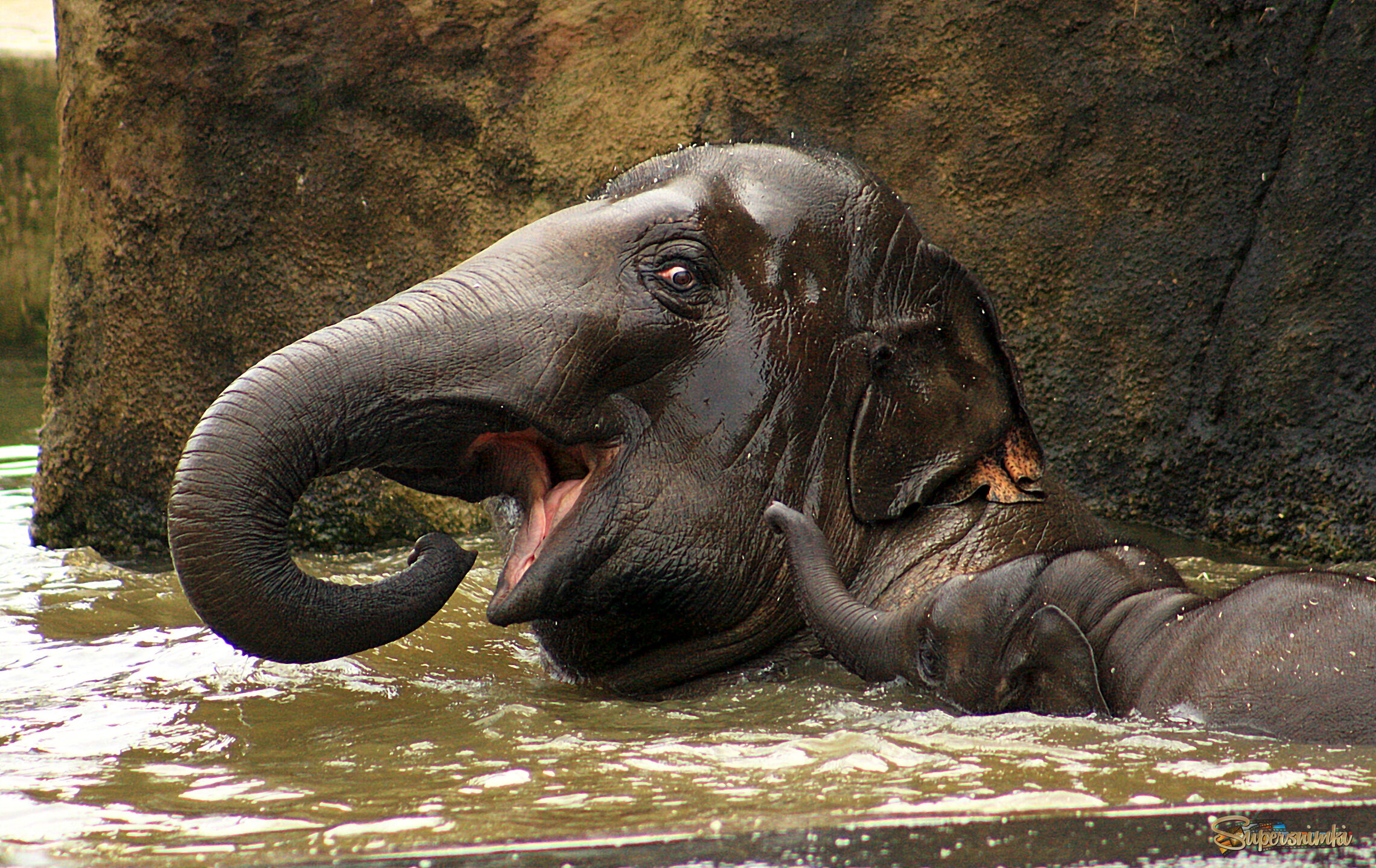 Идите к нам