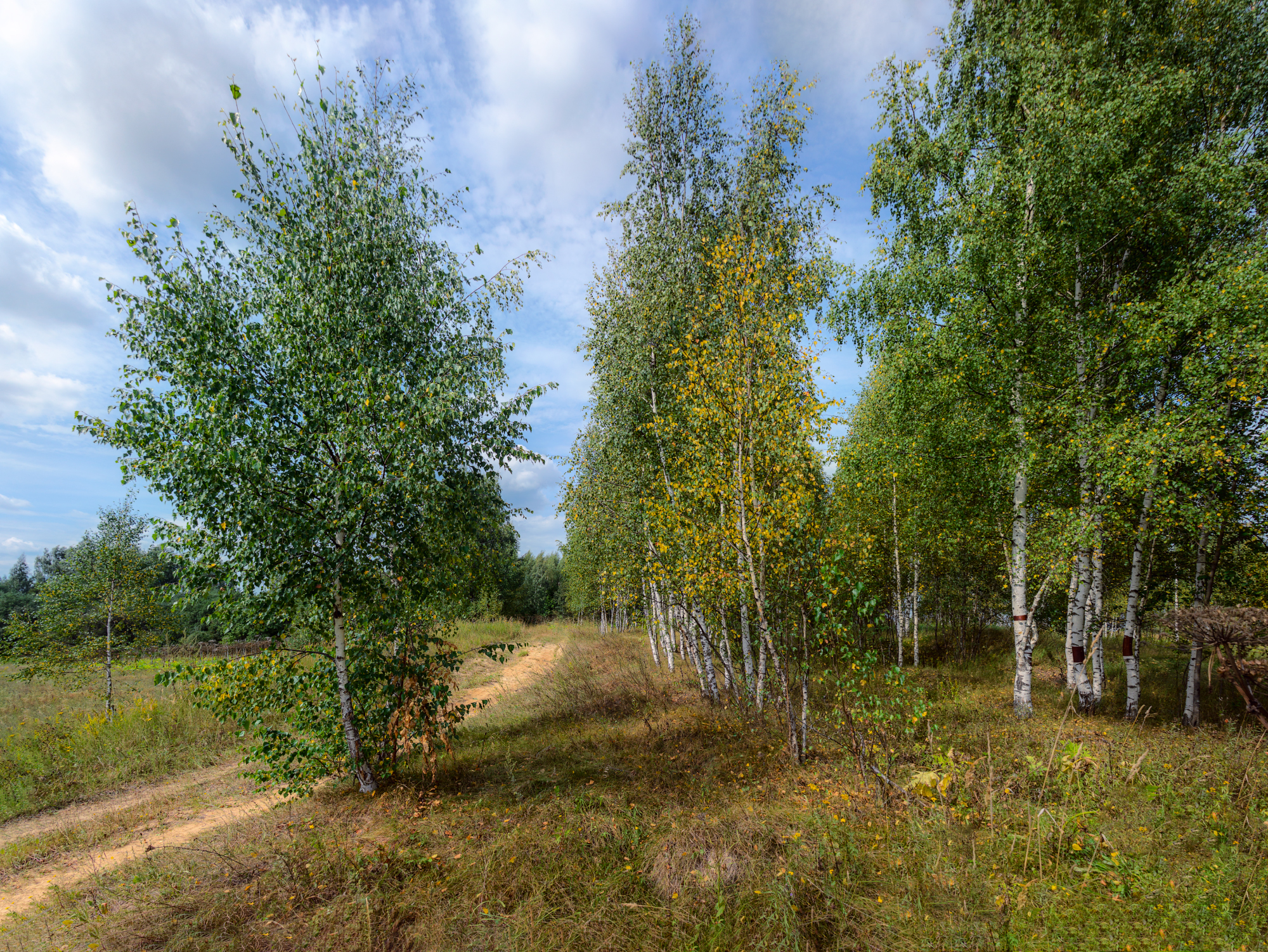 Жаркий Август