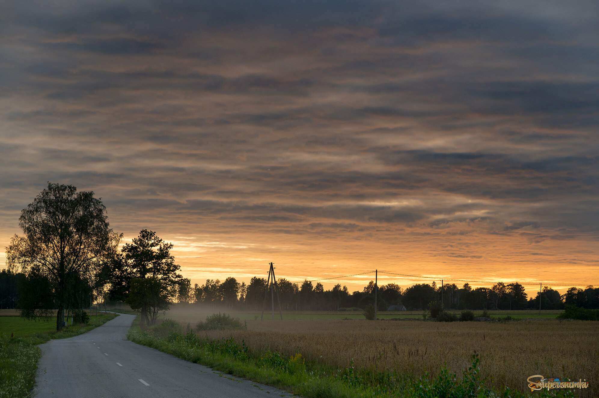 689da0ae203b7728a9dcdd5c