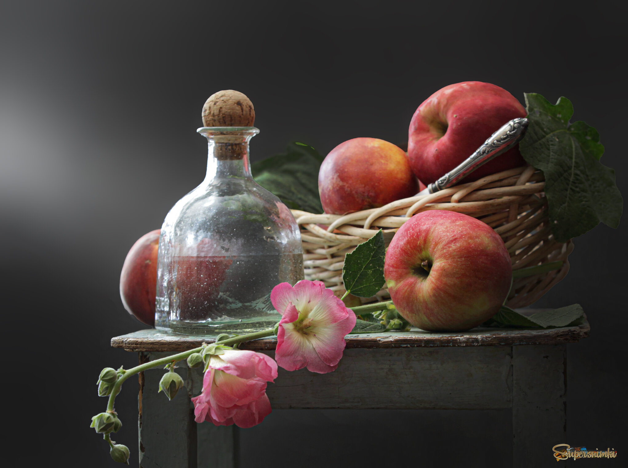 август. мальва