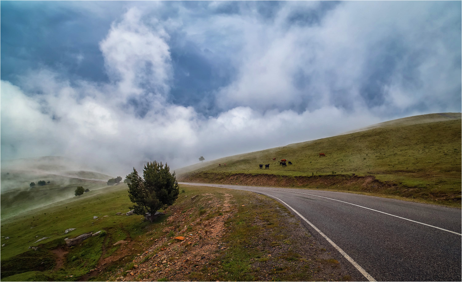 Дорога в облака