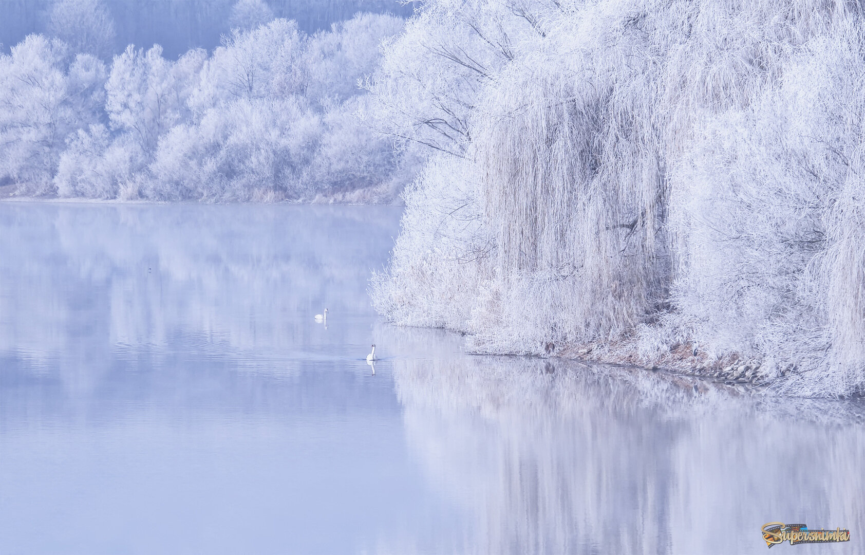 Лебединое озеро