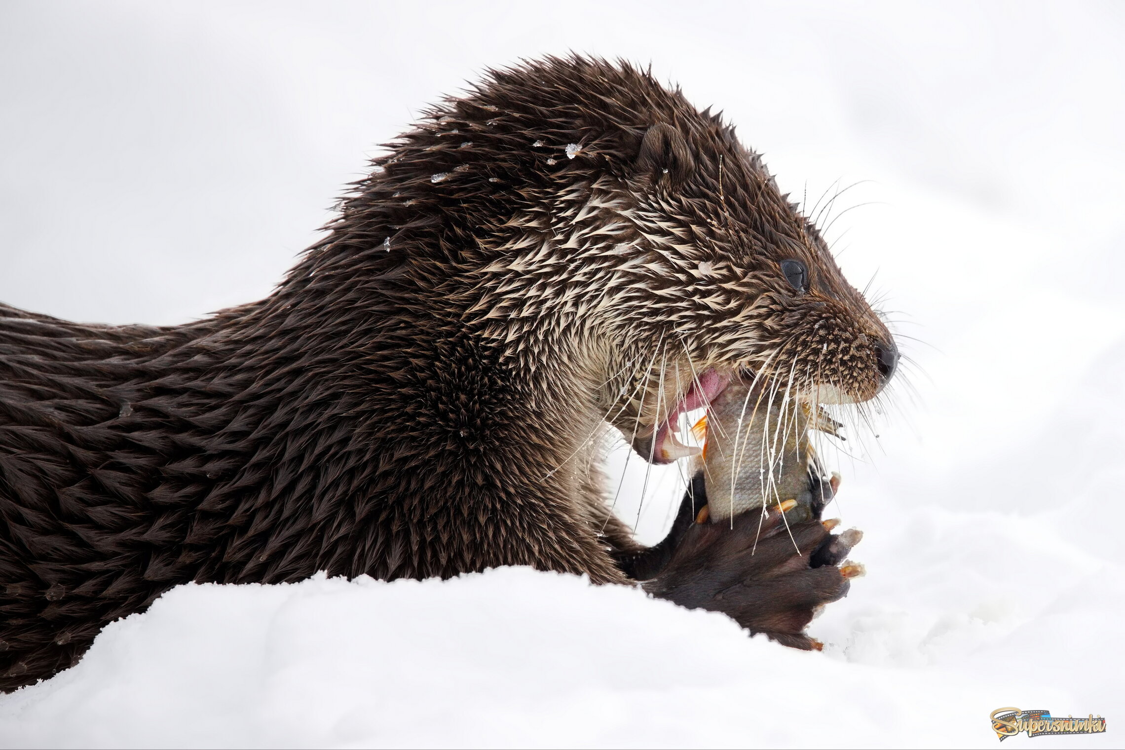 Когда полезное - вкусно)!