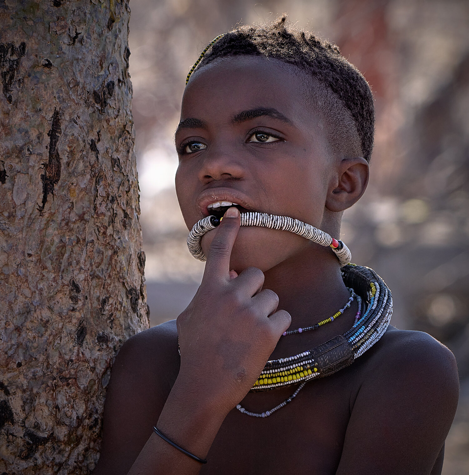 Намибийские истории...