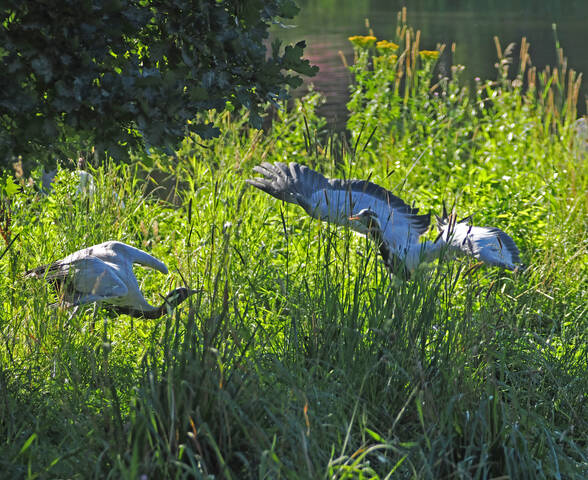 # 3