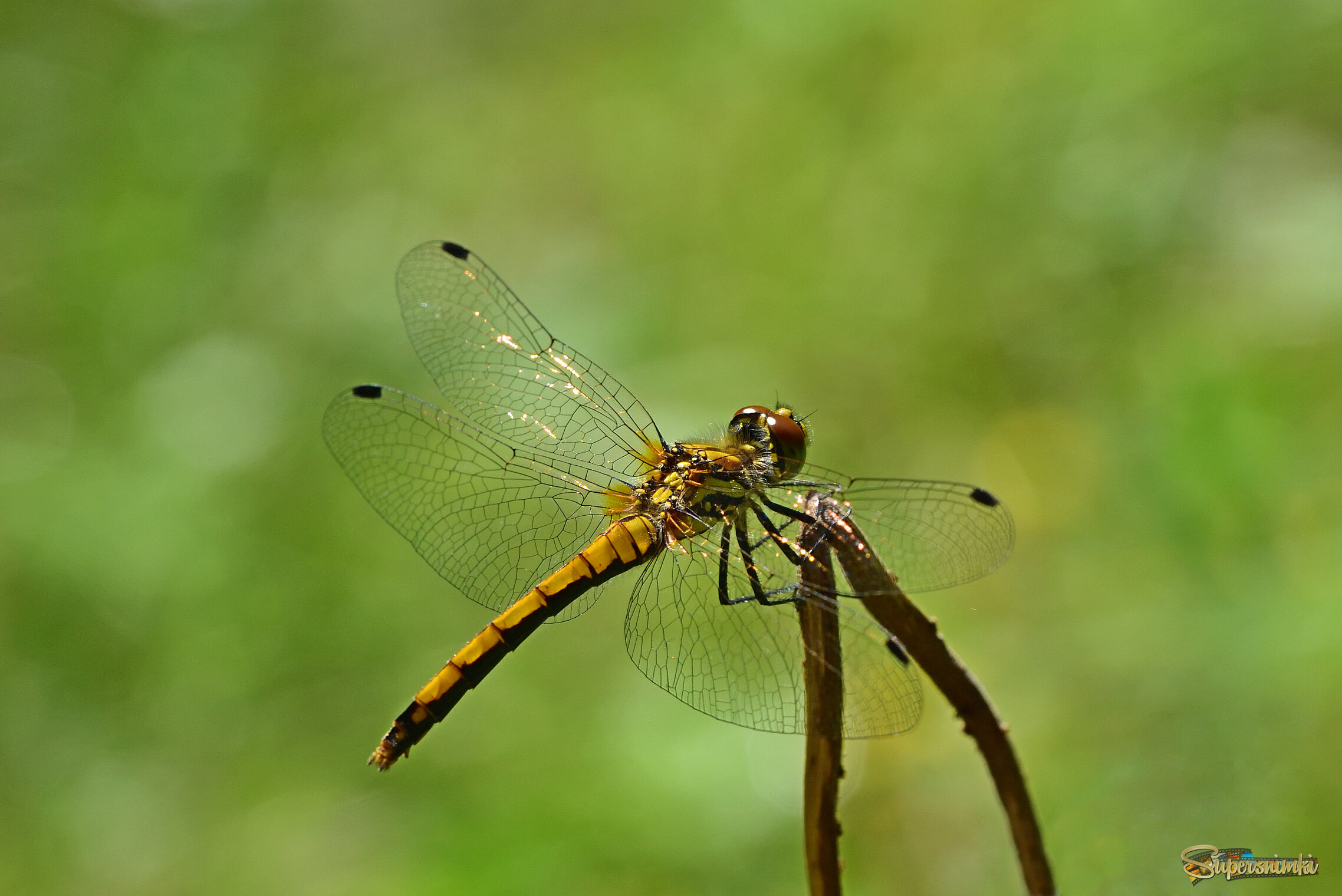 689f40c2d943b25cc9dcdd5f