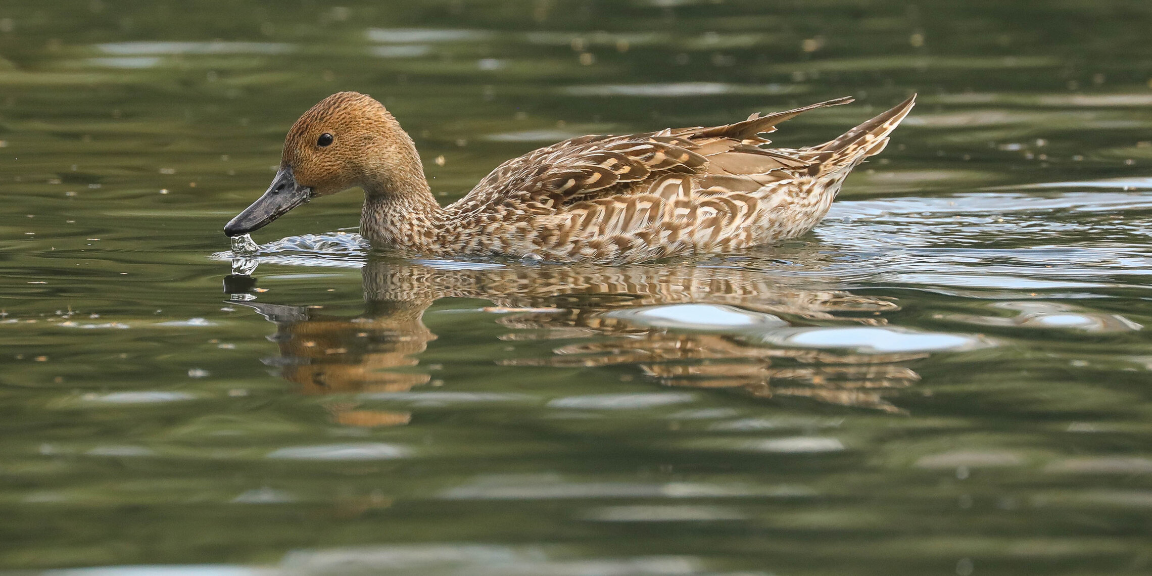 Вкусная водичка