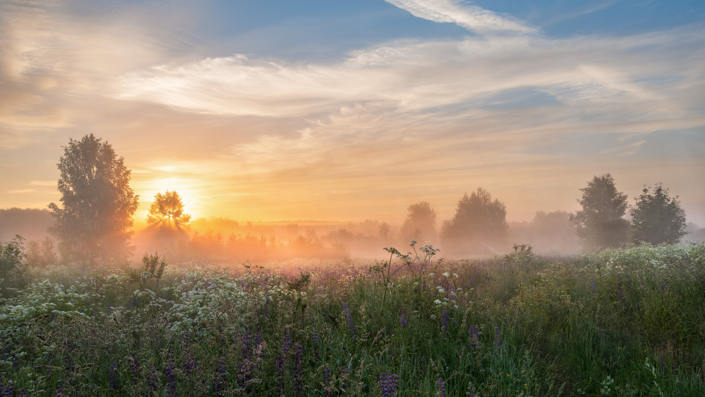 туманное утро