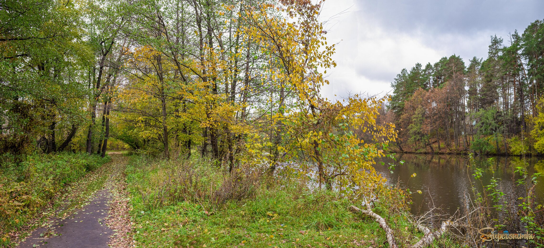 Осенняя грустинка.