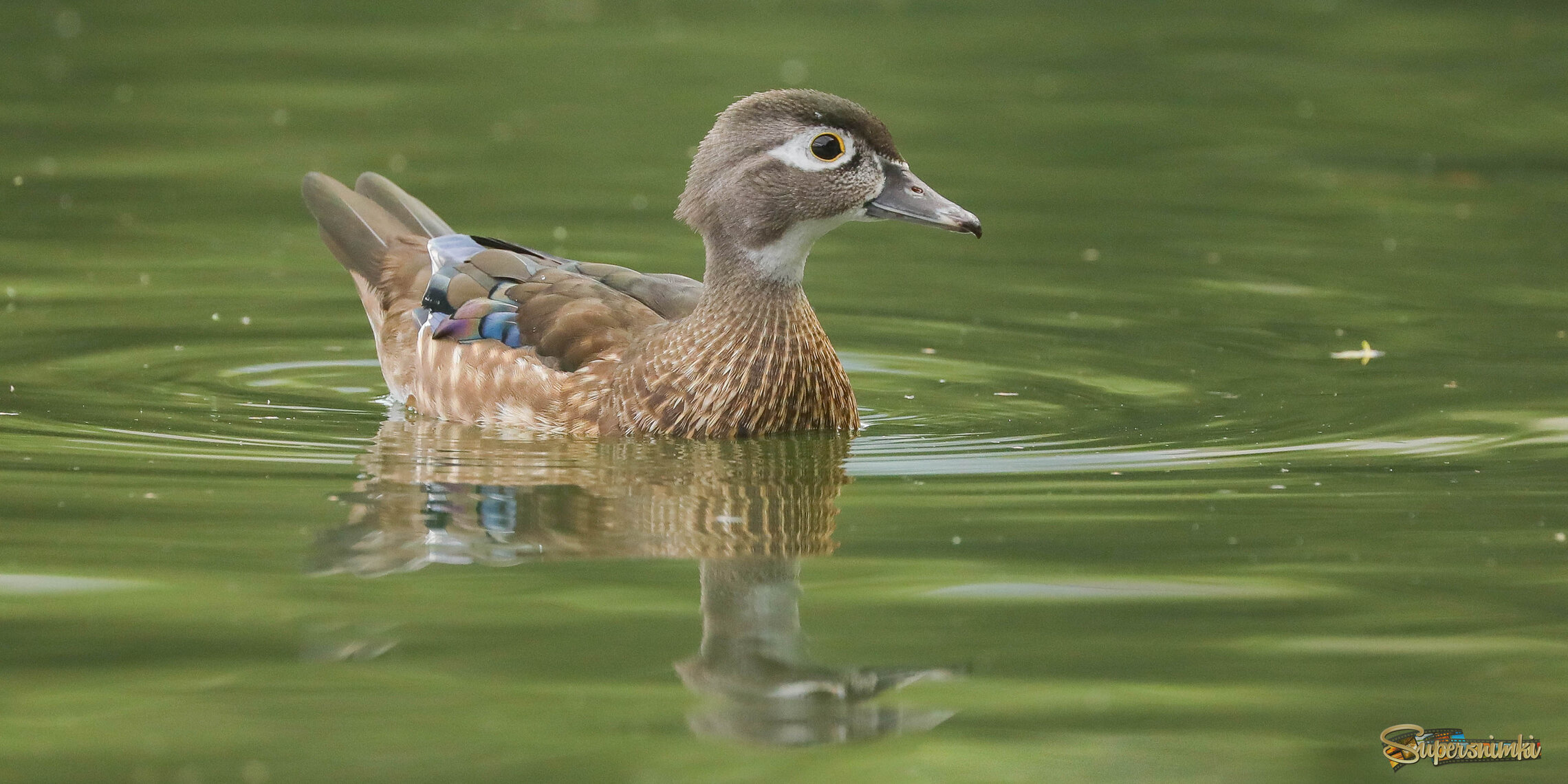 И что это там происходит?