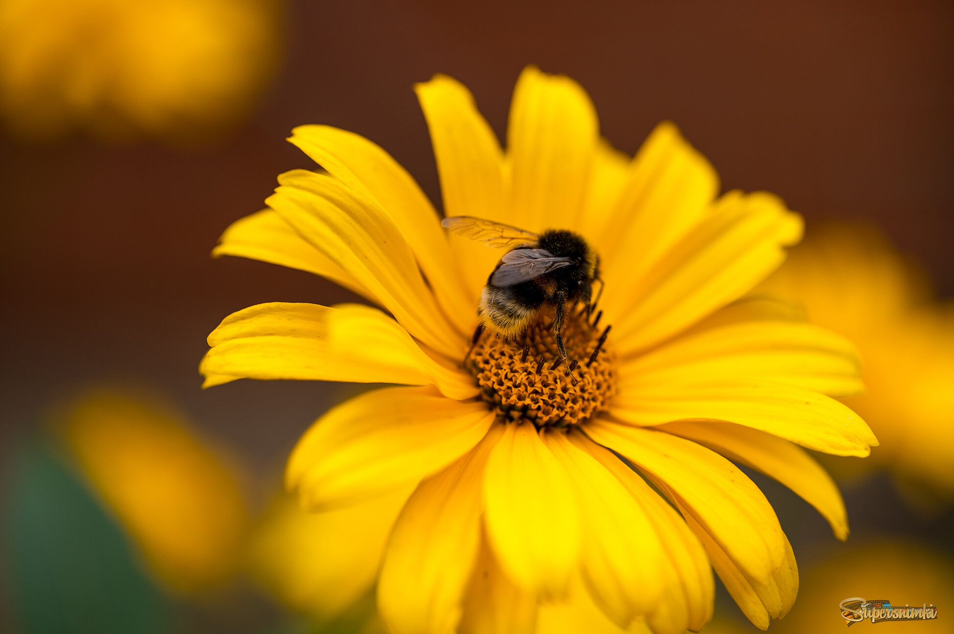 68a03fc2c3176ba960dcdd5f