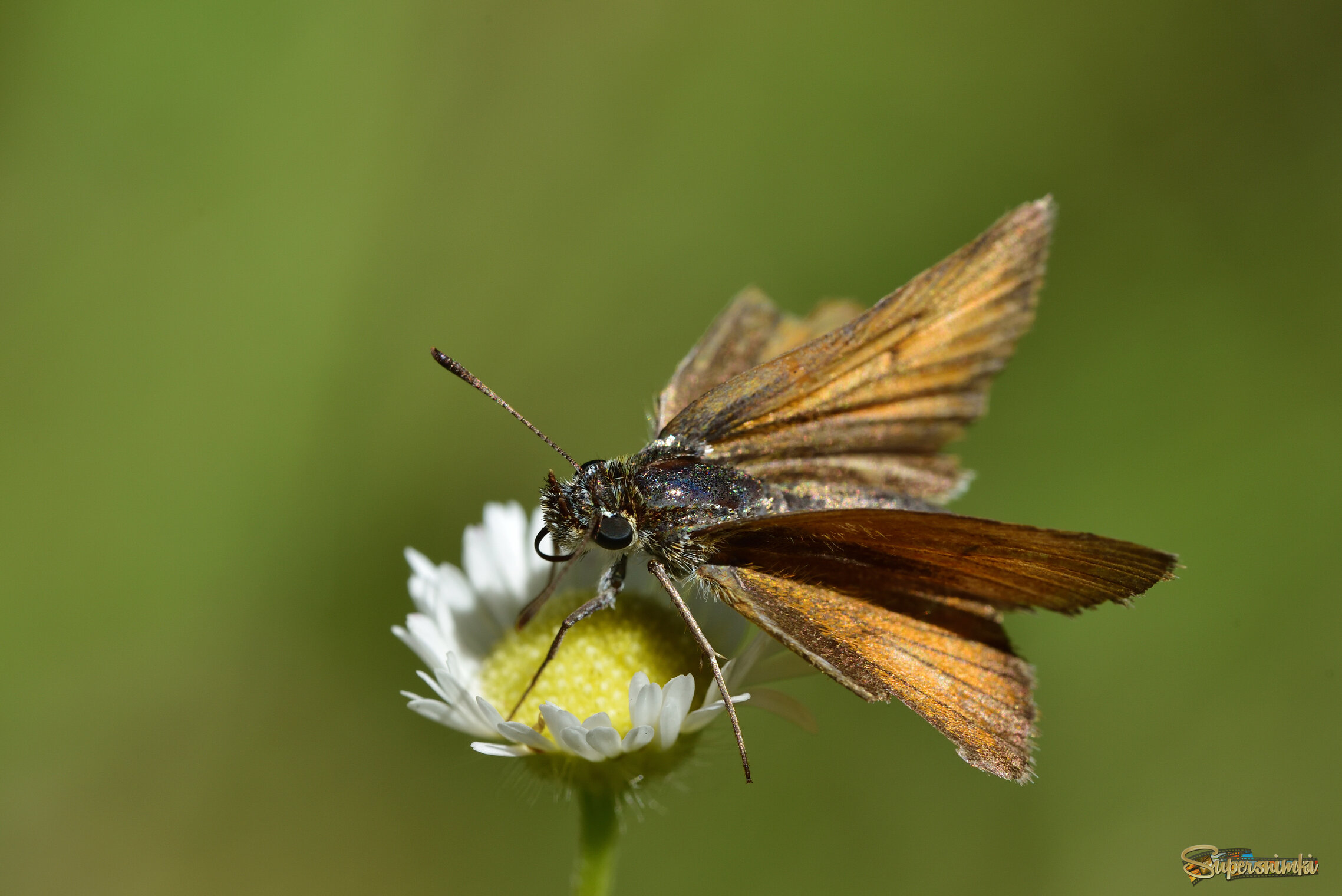 68a05293896ed14cffdcdd5b