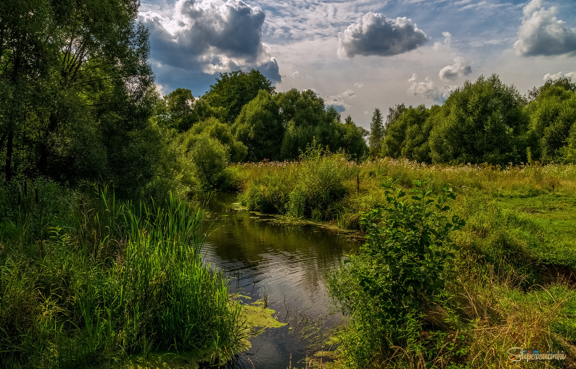 Середина Августа  