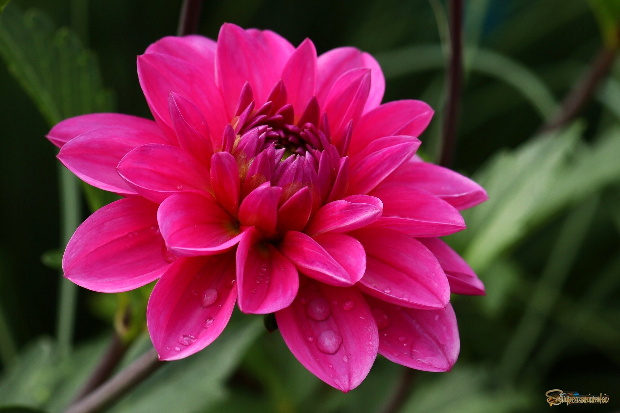 Доброе утро