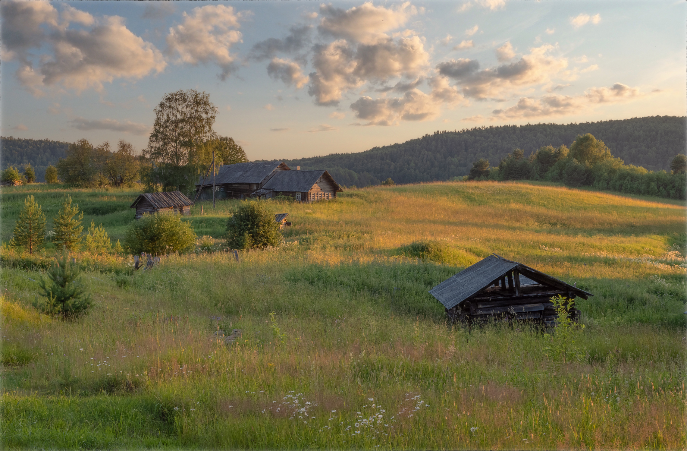 68a206e61a182d7453dcdd5c