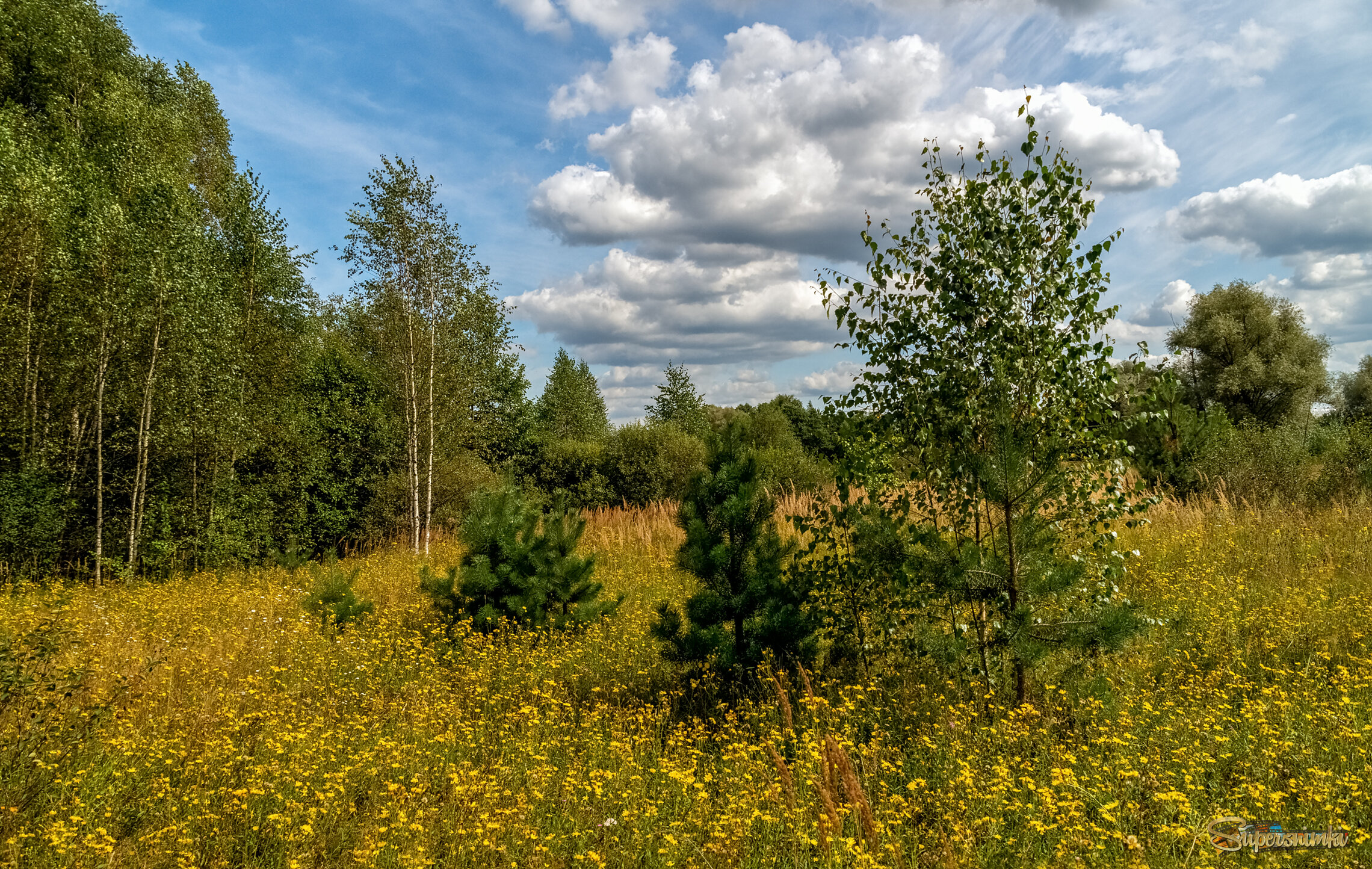 Середина Августа 2 