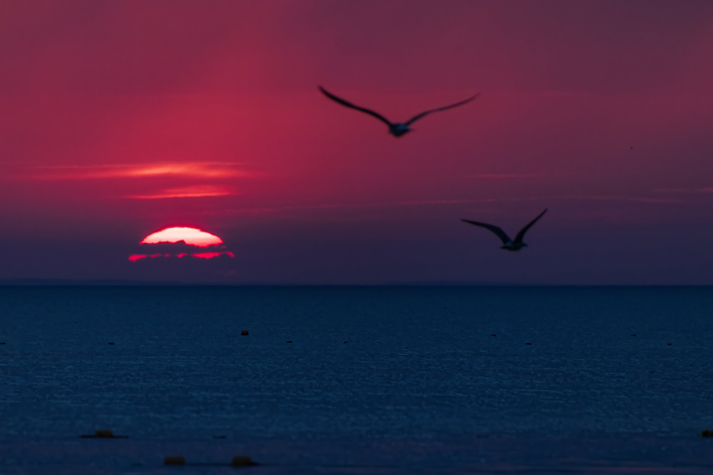 Вечер в Витязево