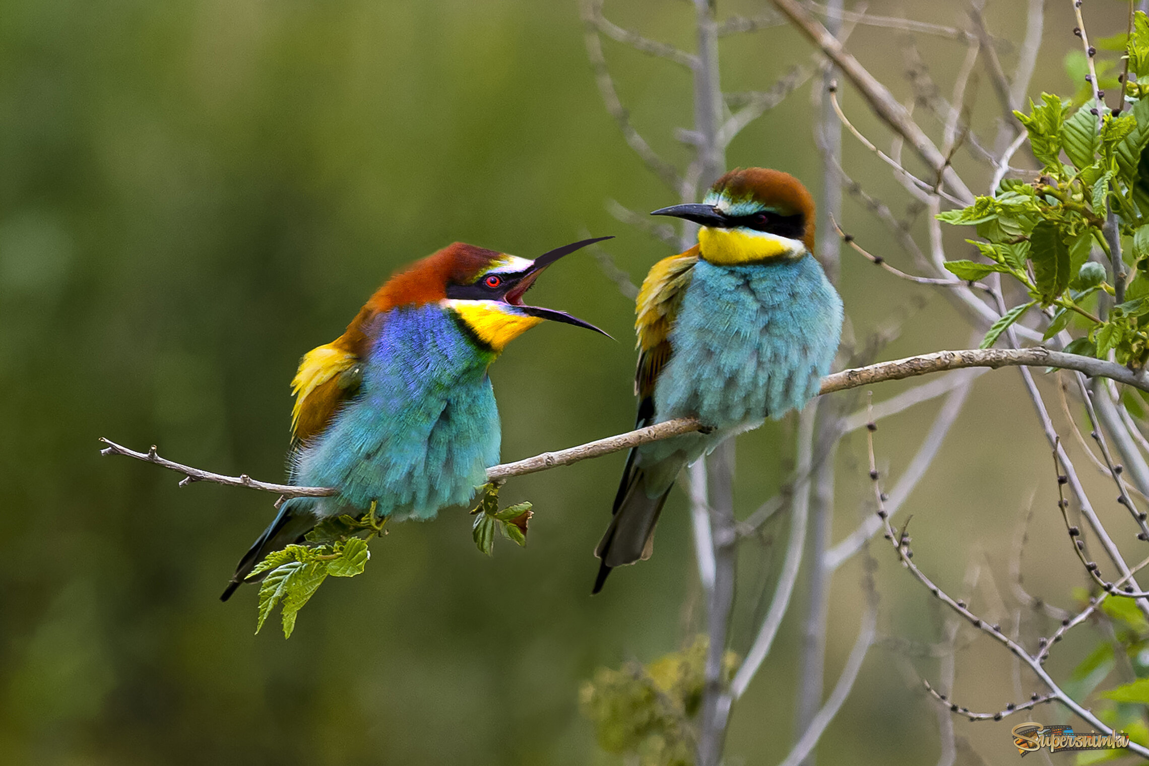 поговори мне