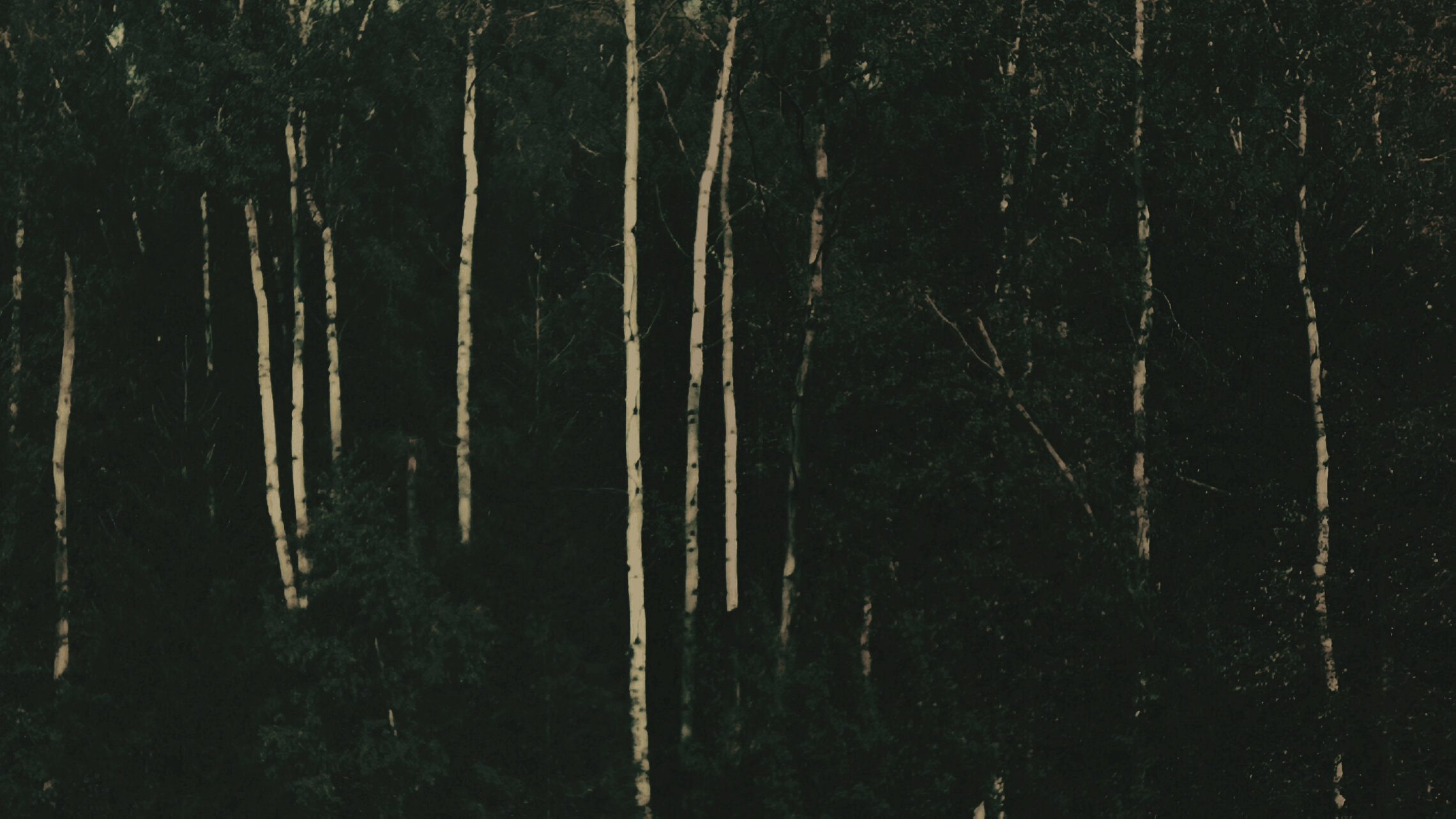 заплутал и заблудился