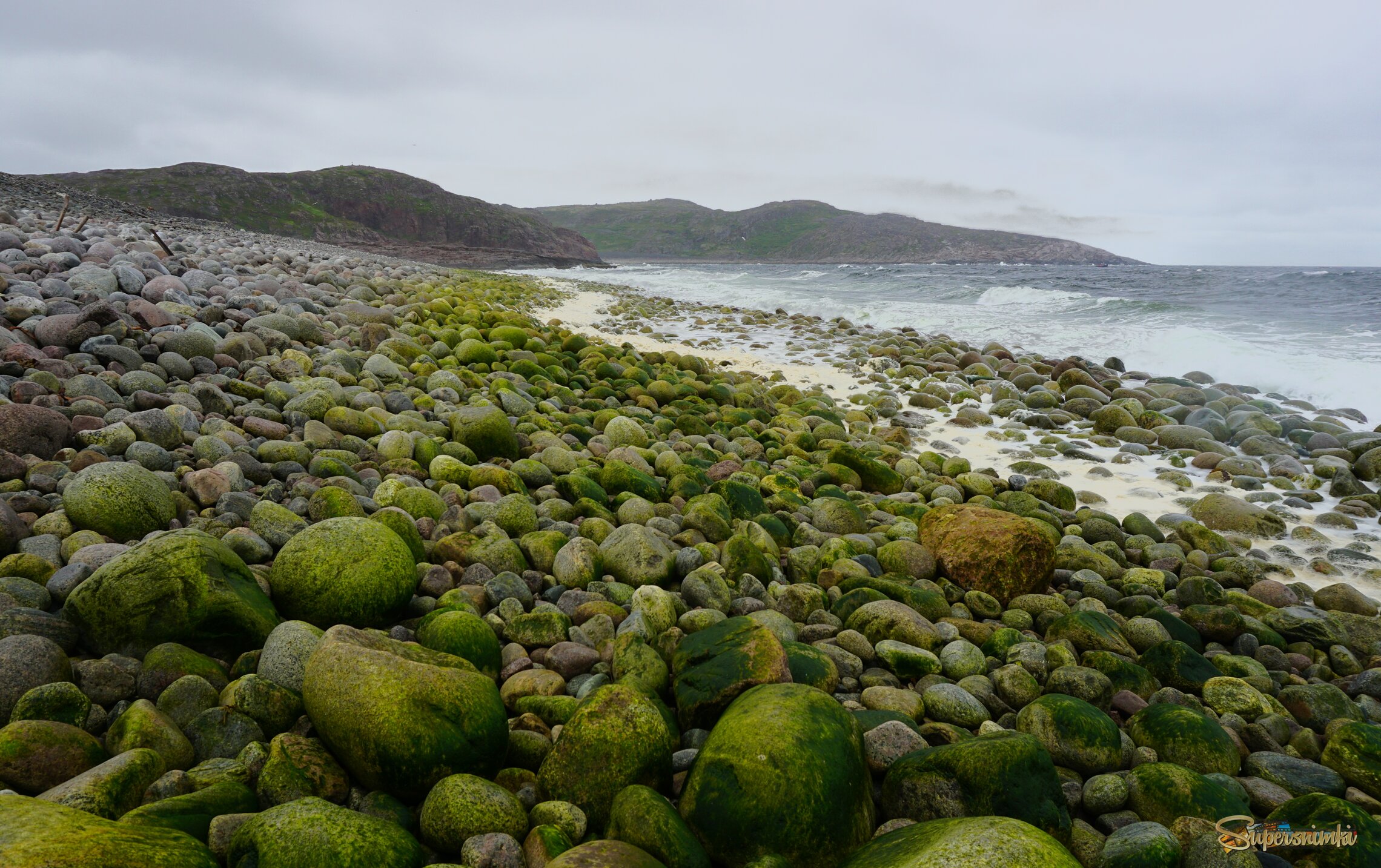 Гнездовье драконов