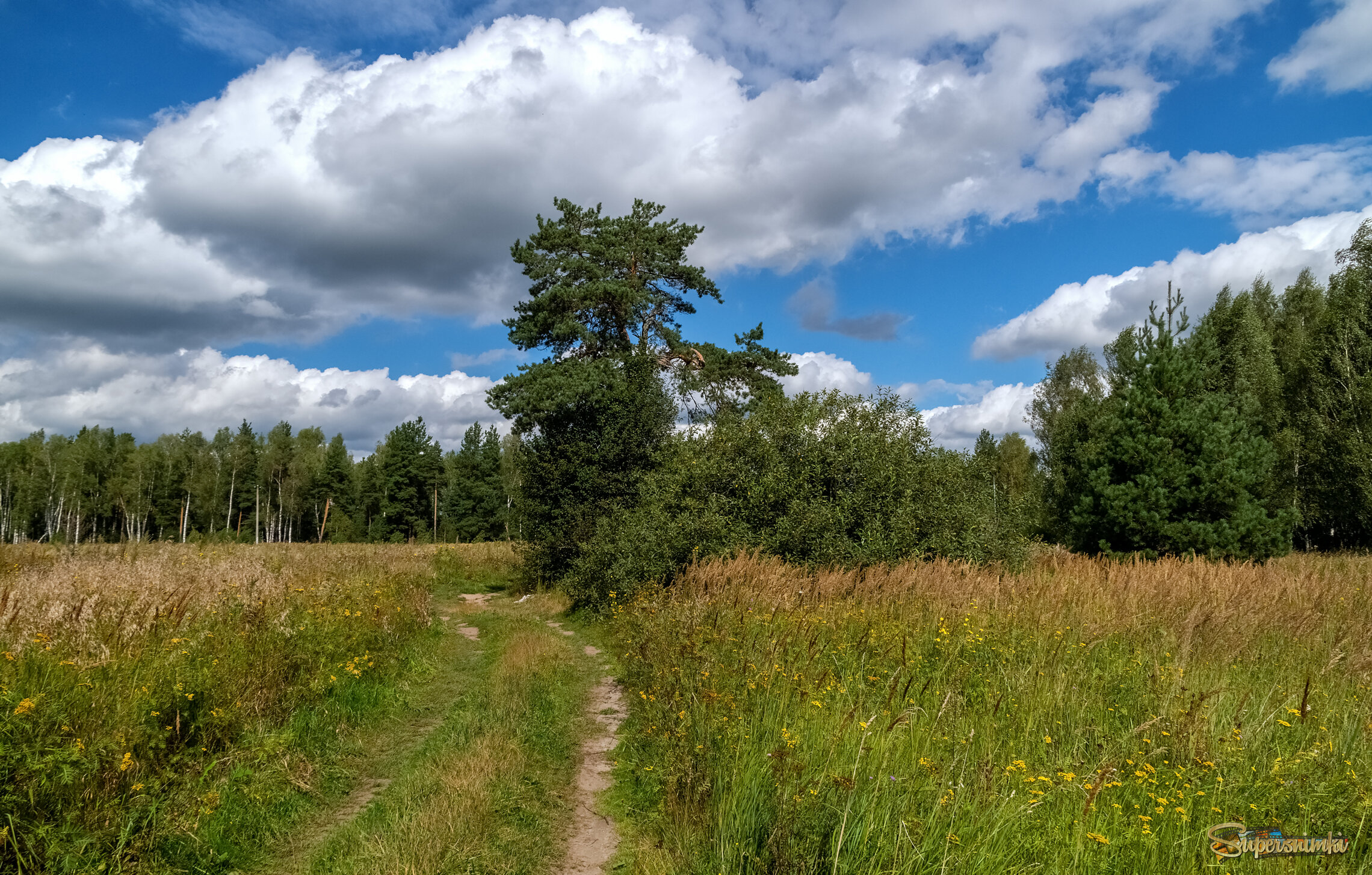 Вторая половина Августа  