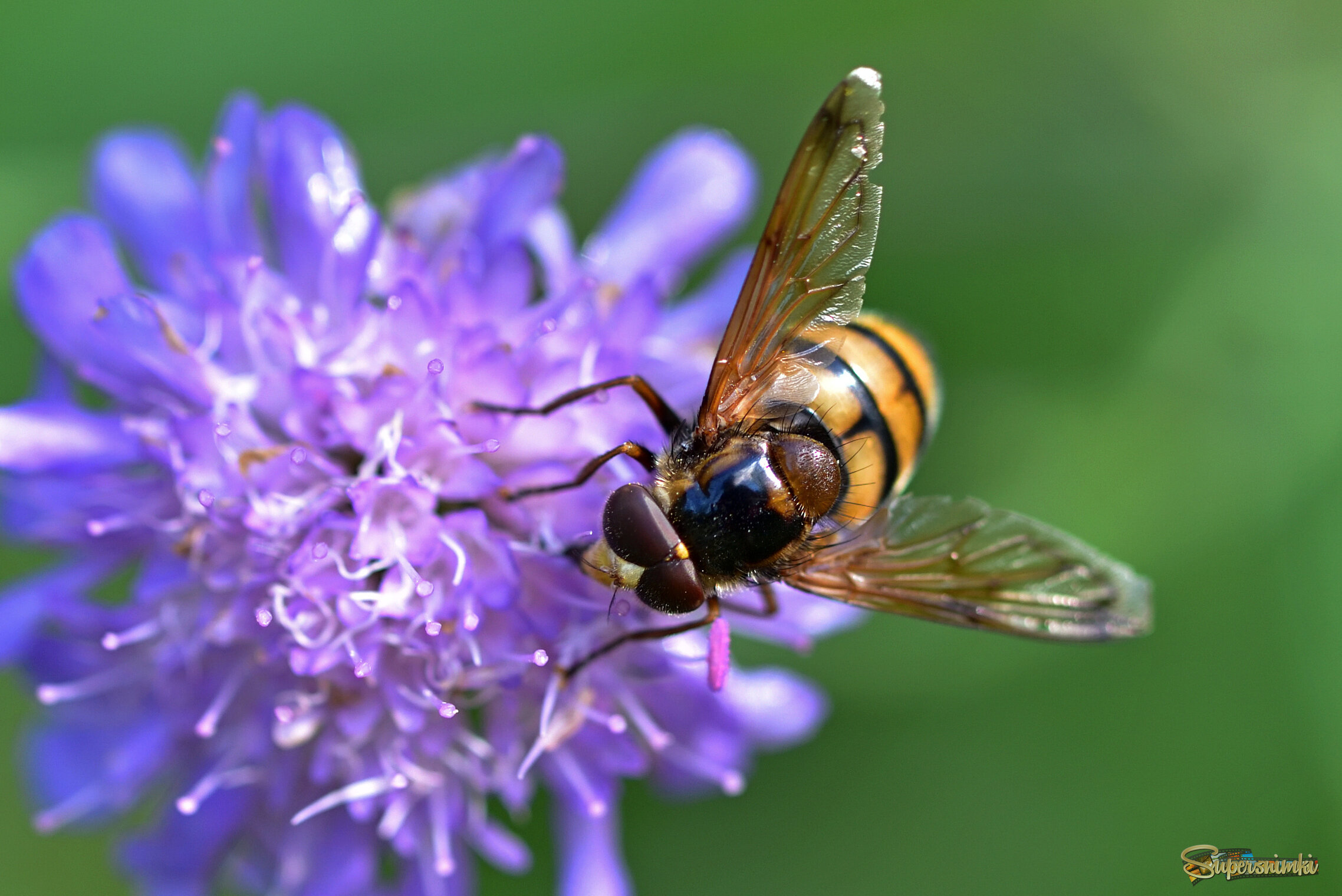 68a4756a8bf3c44e52dcdd5d