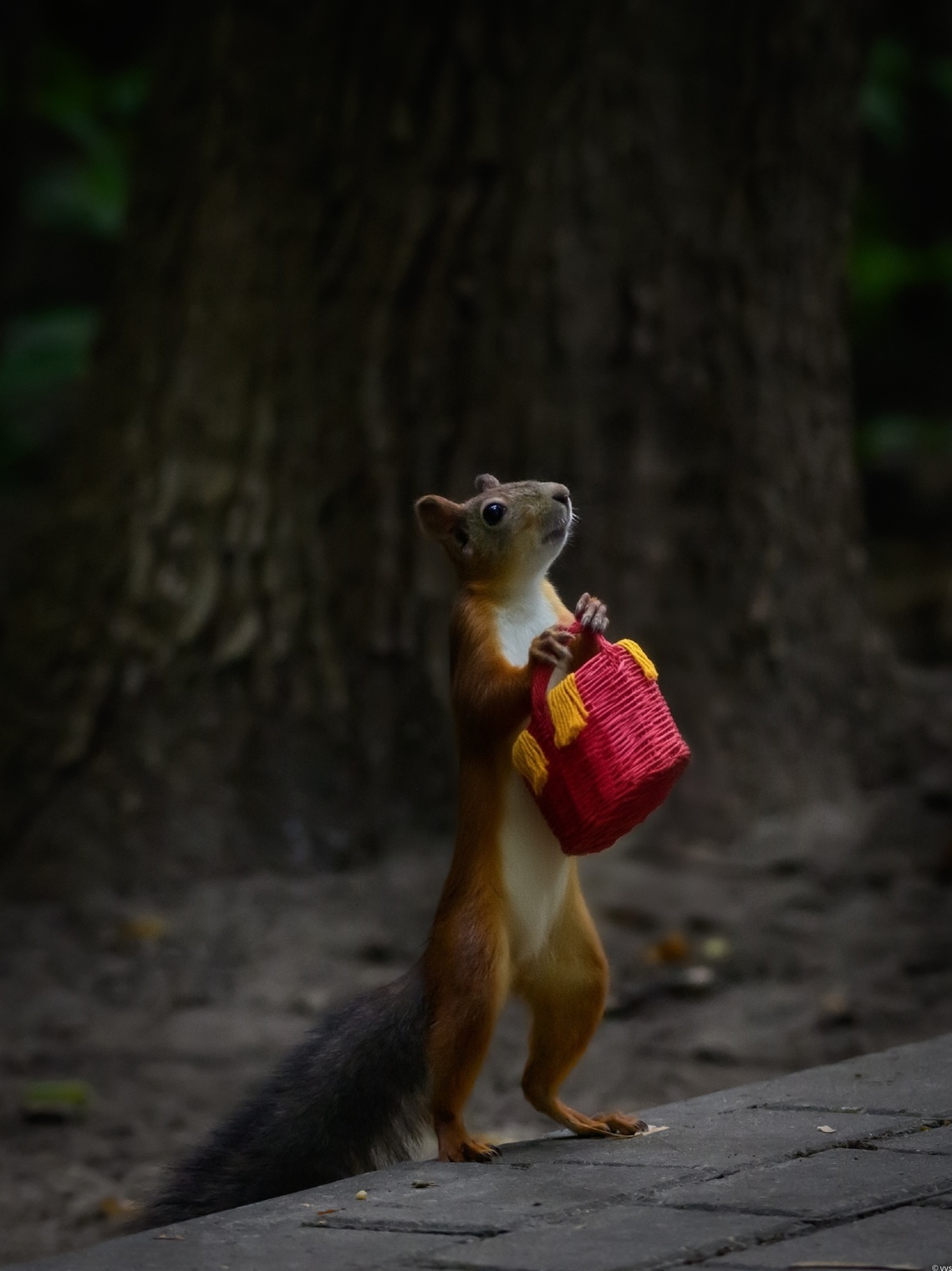 «В деревню, к тётке, в глушь, в Саратов!» 