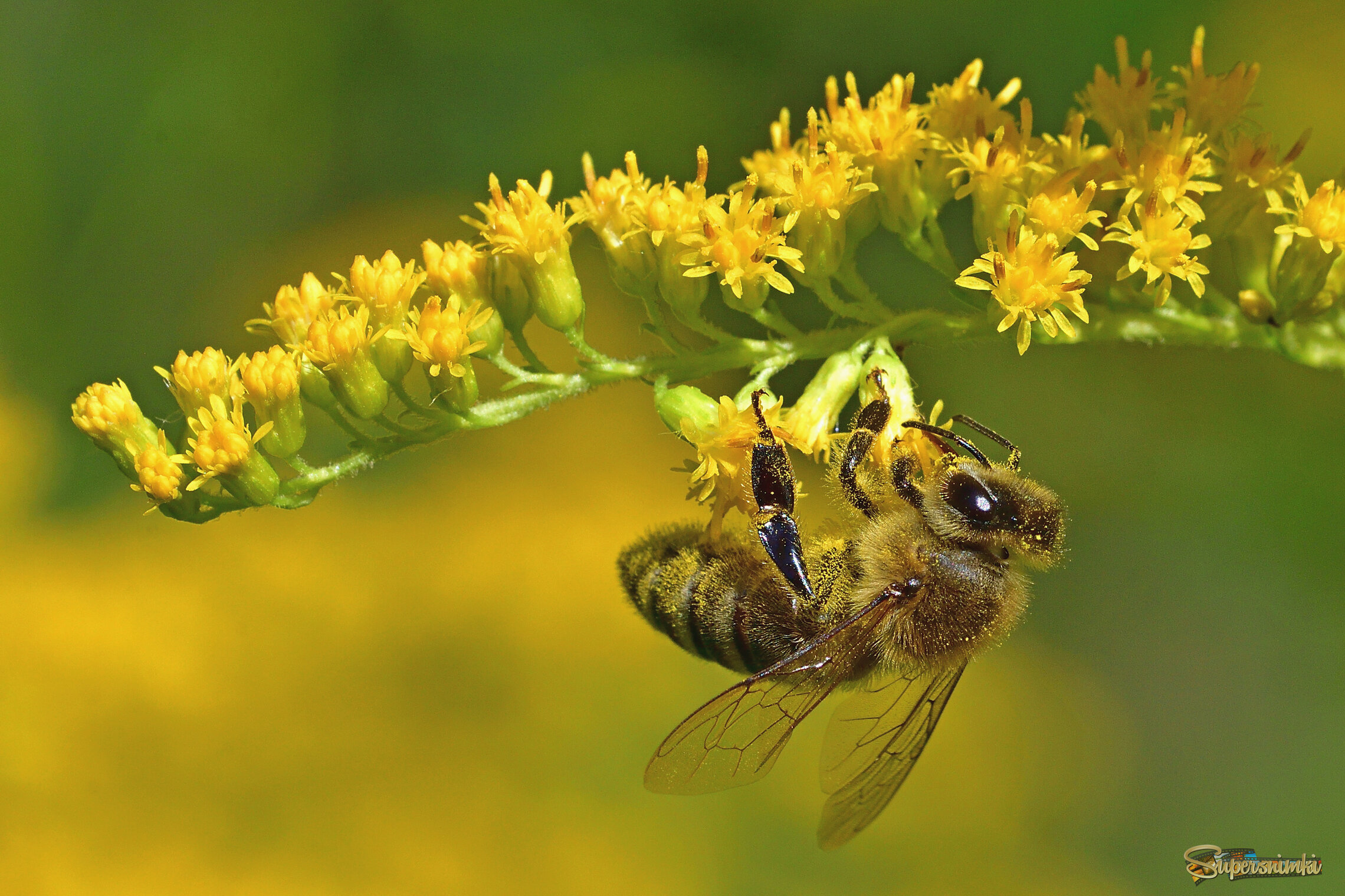 68a61666e6abd19feedcdd5b