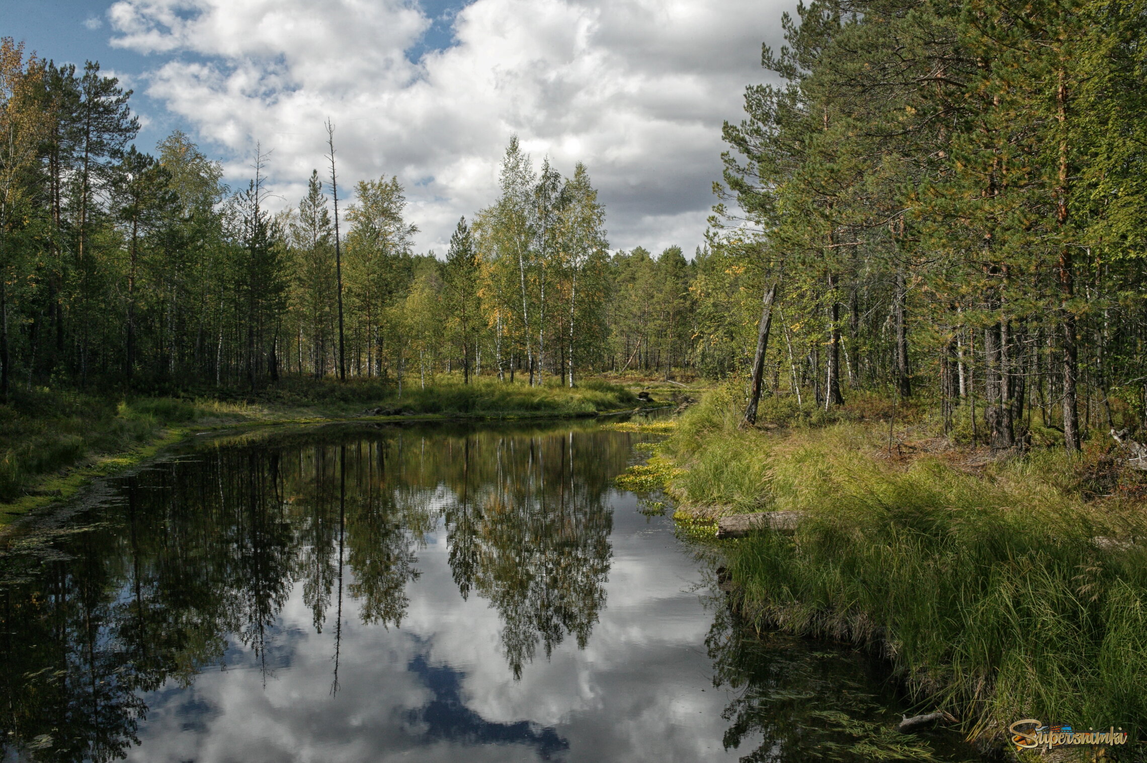 Большое Васюганское болото***
